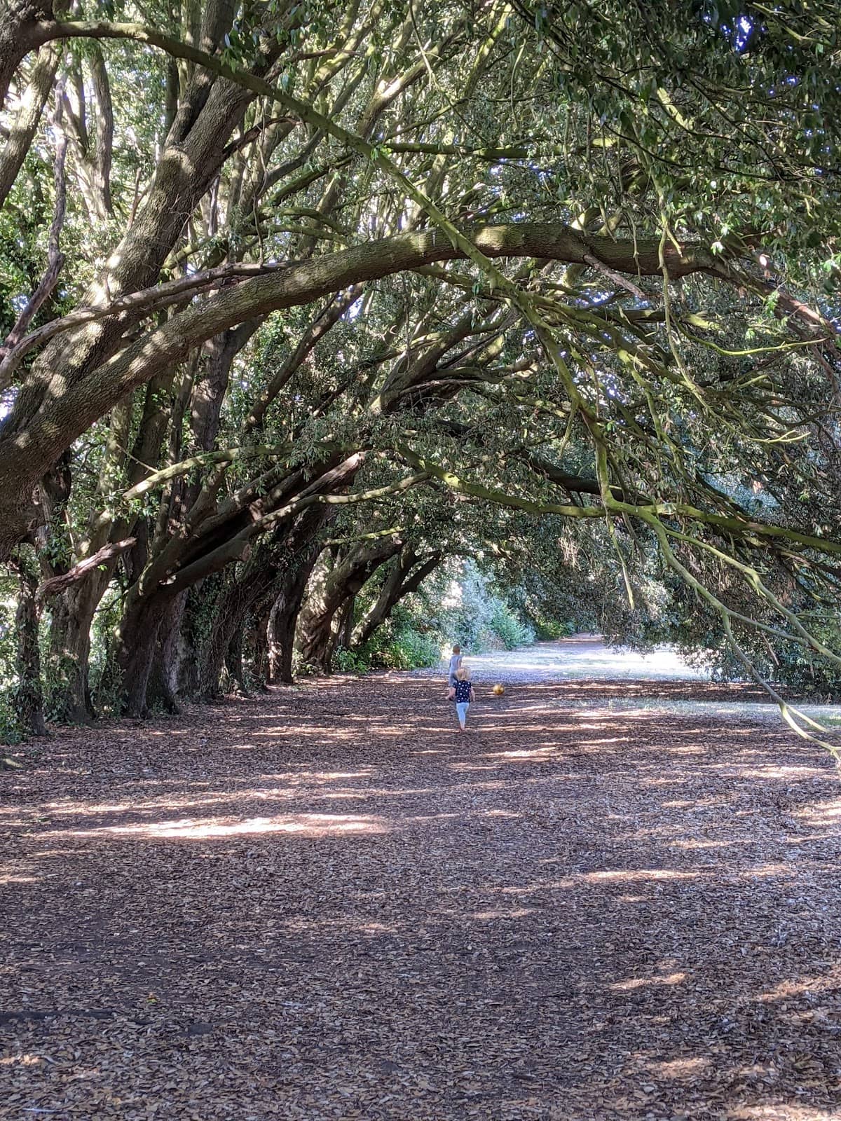 Picnic Spots