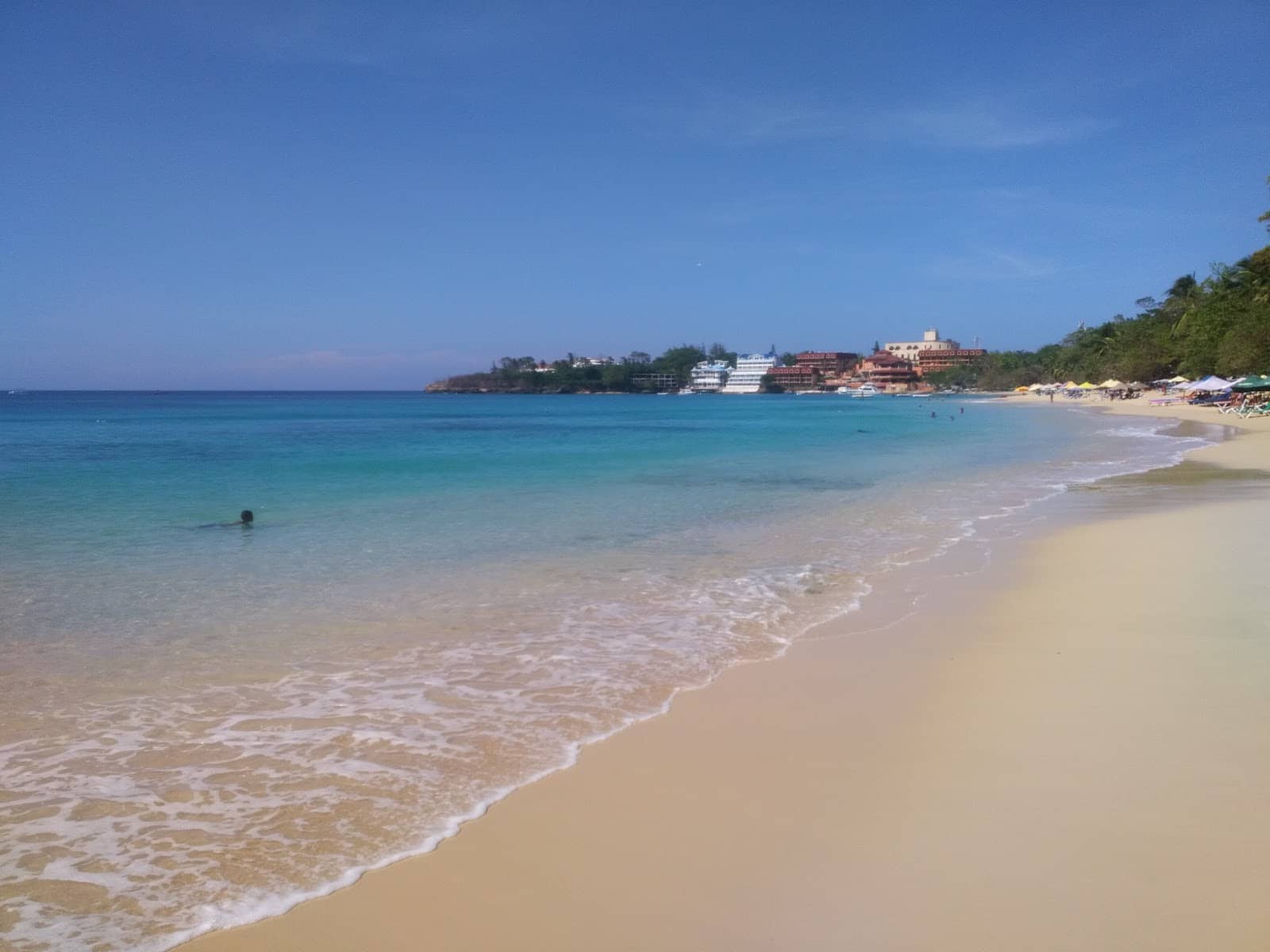 Swimming with Turtles