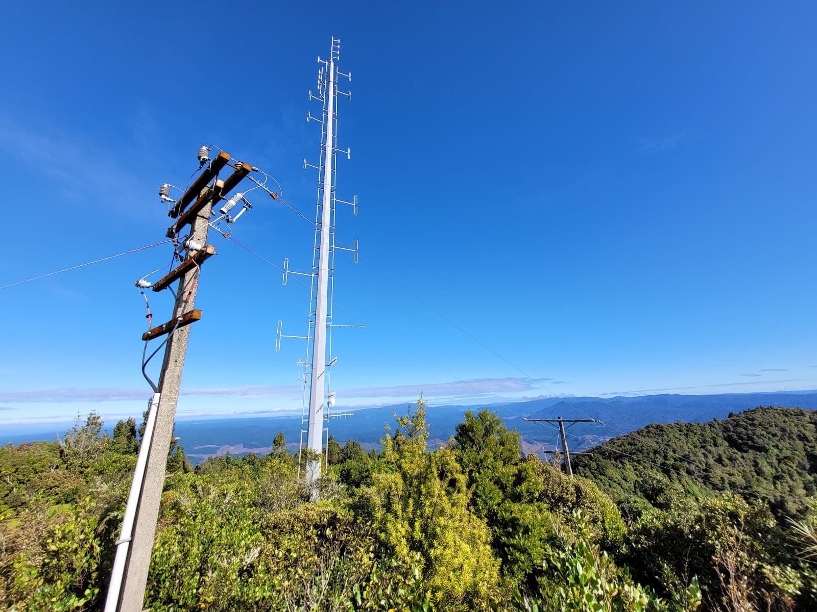 Pūtauaki / Mt Edgecumbe - Image 1