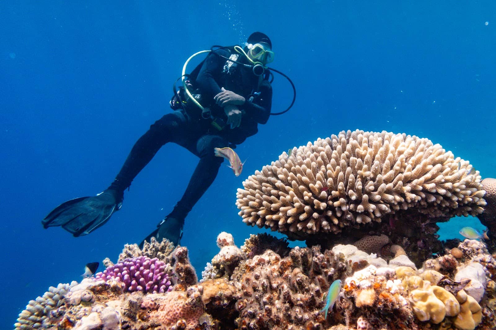 Accessible for All Levels