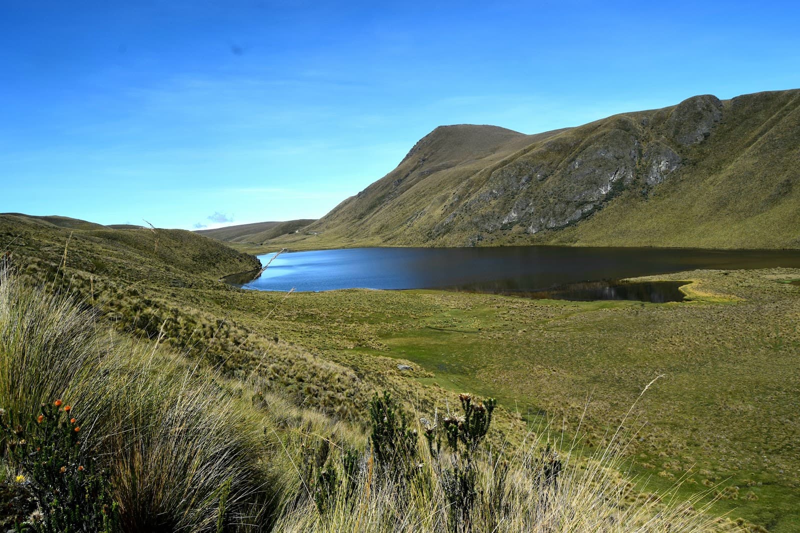 Achupallas (Qhapaq Ñan trailhead) - Image 1