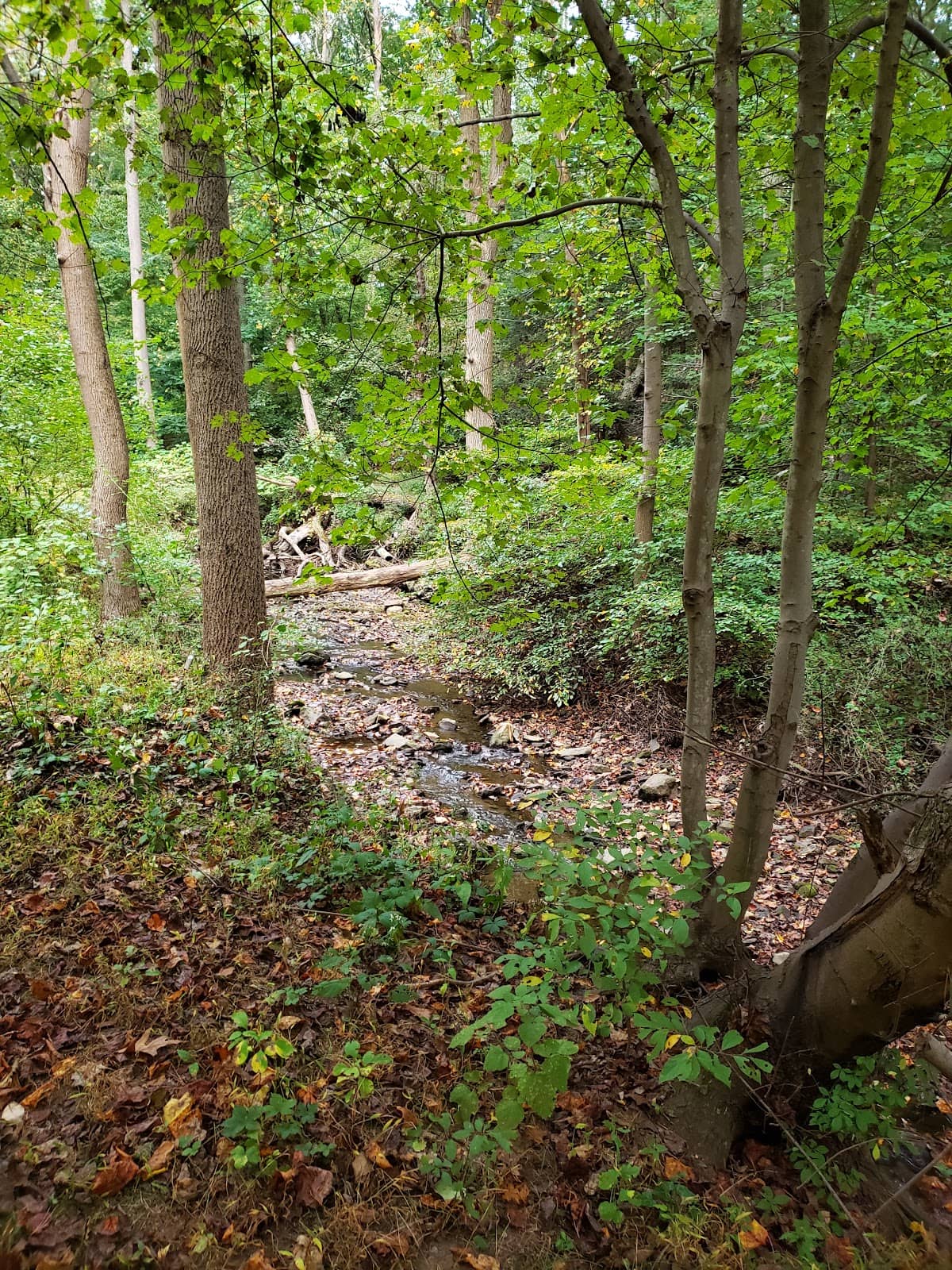 Small Waterfall