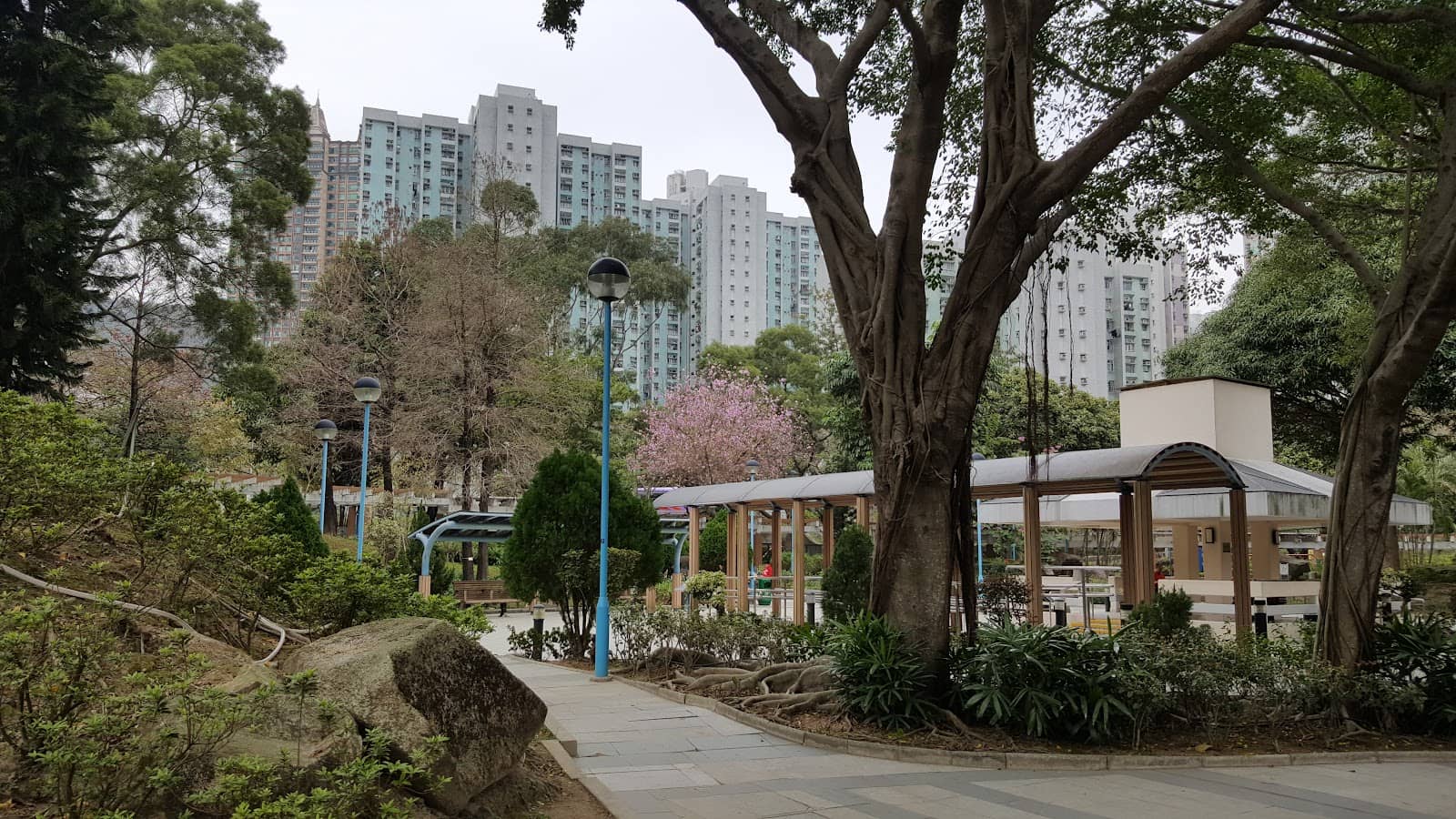 Shaded Walking Paths