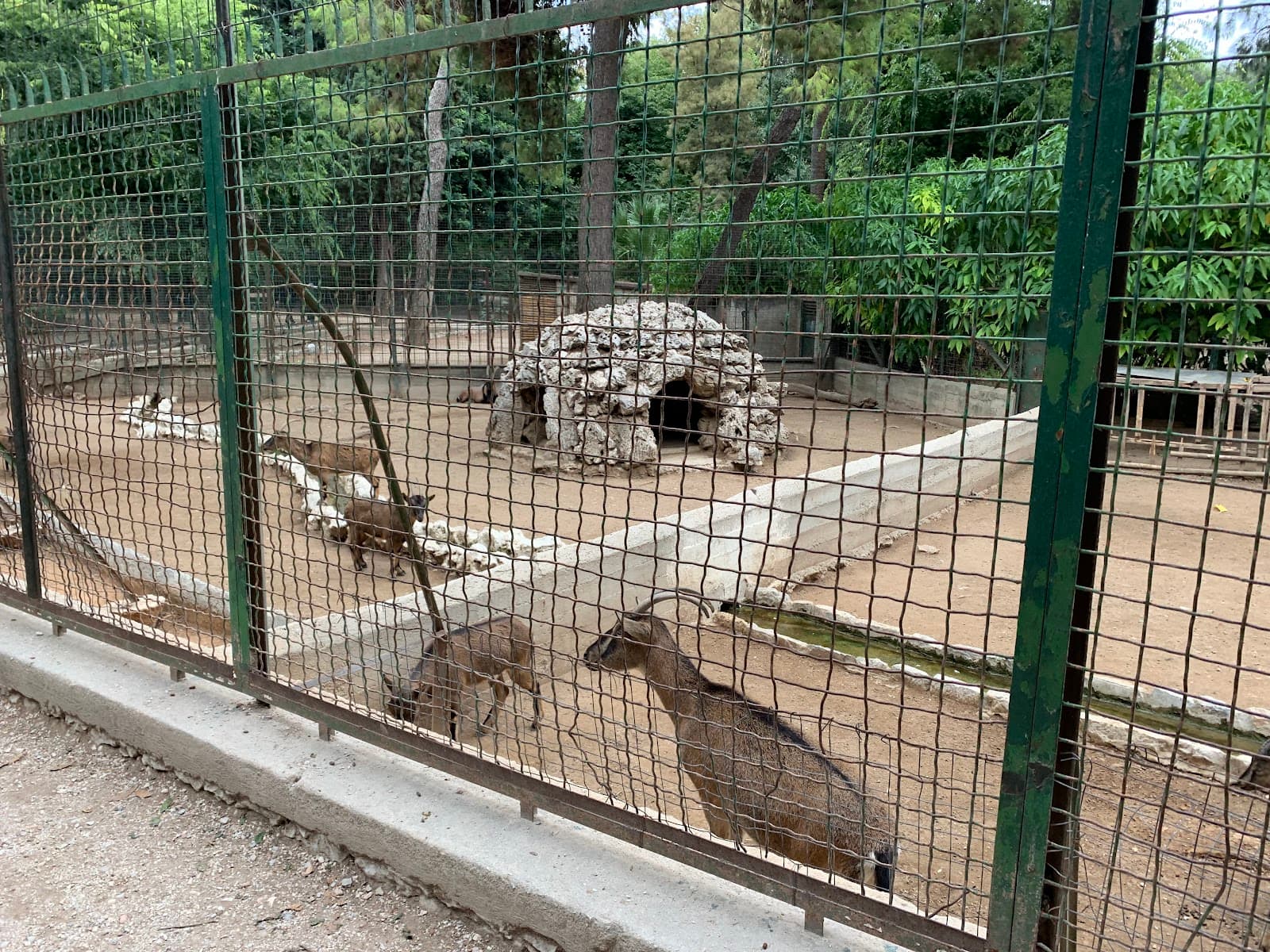 National Garden Zoo - Image 1