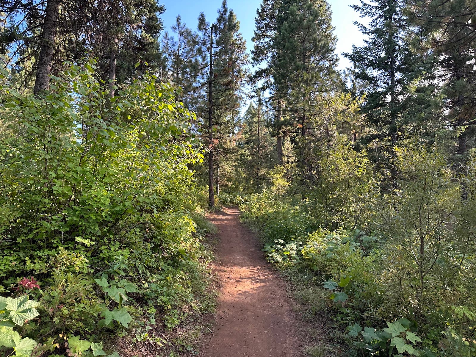 Bear Basin Trails - Image 1