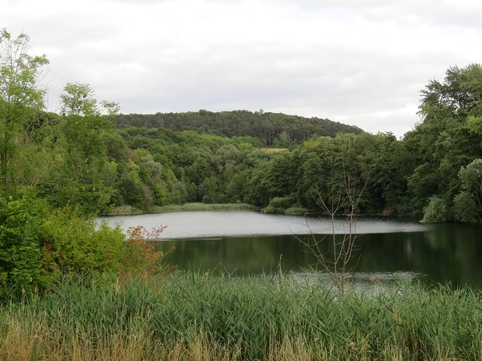 Summer Swimming Spot