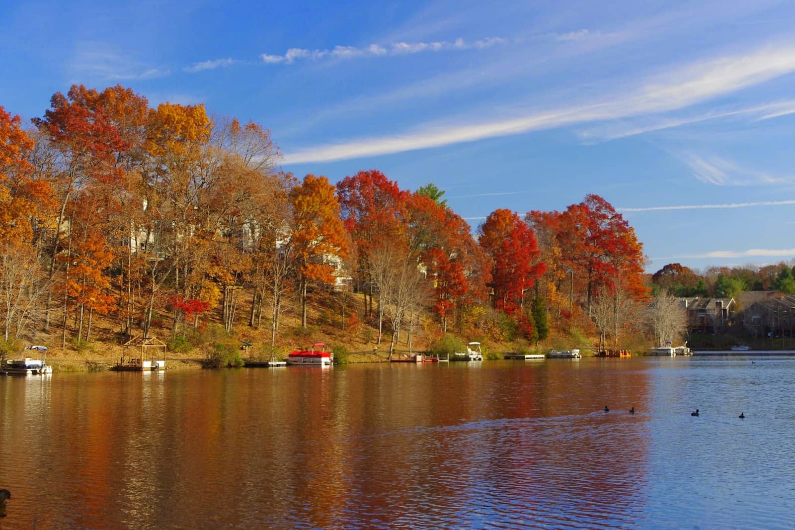 Canoe Rentals (Seasonal)