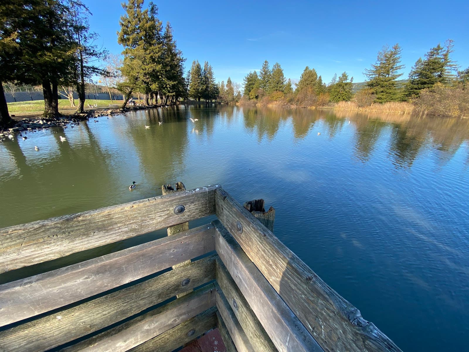 Roberts Lake Park - Image 1