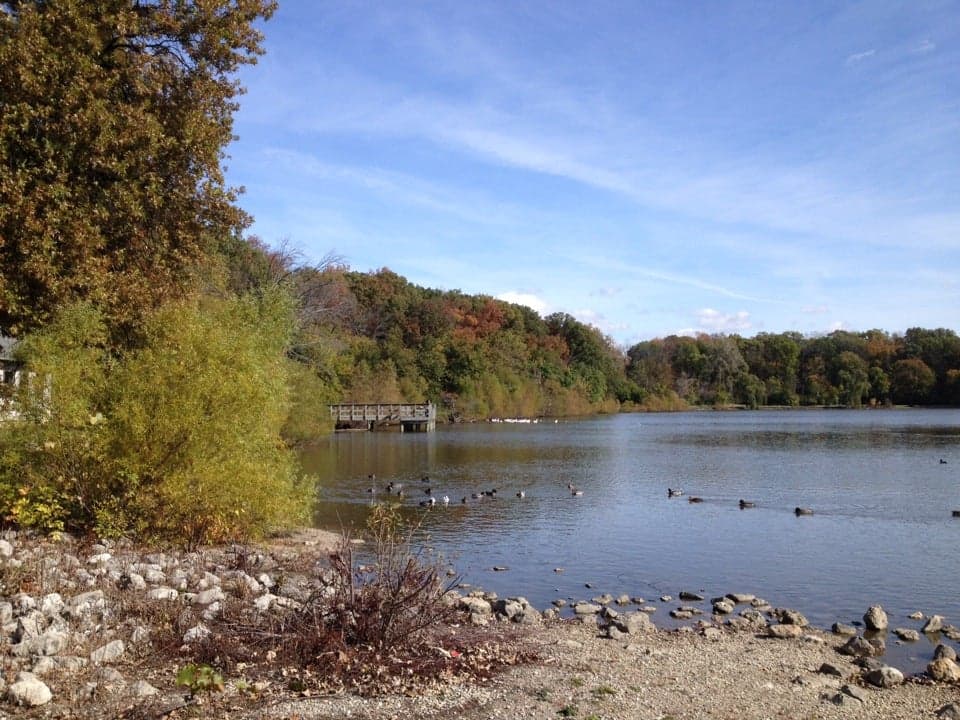 Franke Park - Image 1