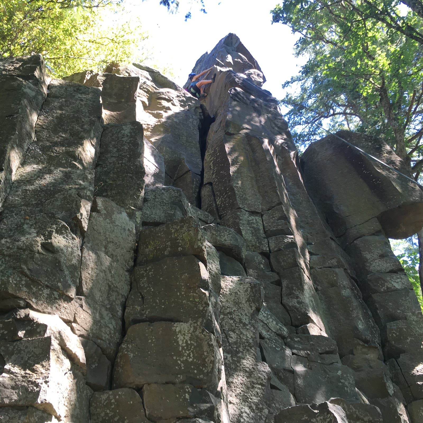 Broughton Bluff - Image 1