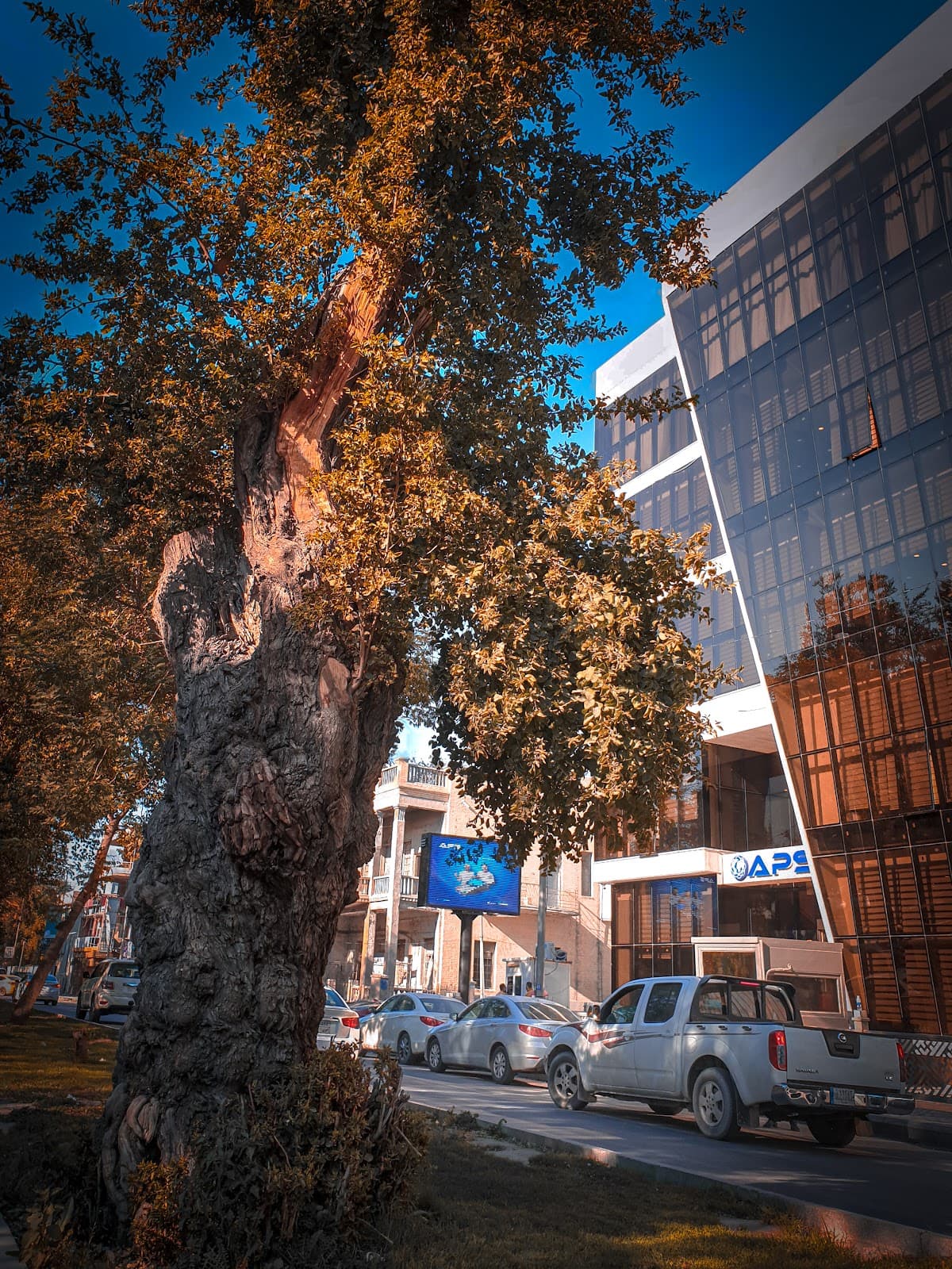 Abu Nawas Street Baghdad - Image 1