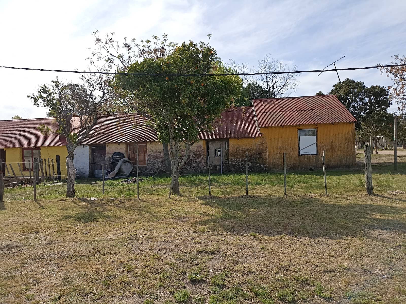 Montes de Plata Plant
