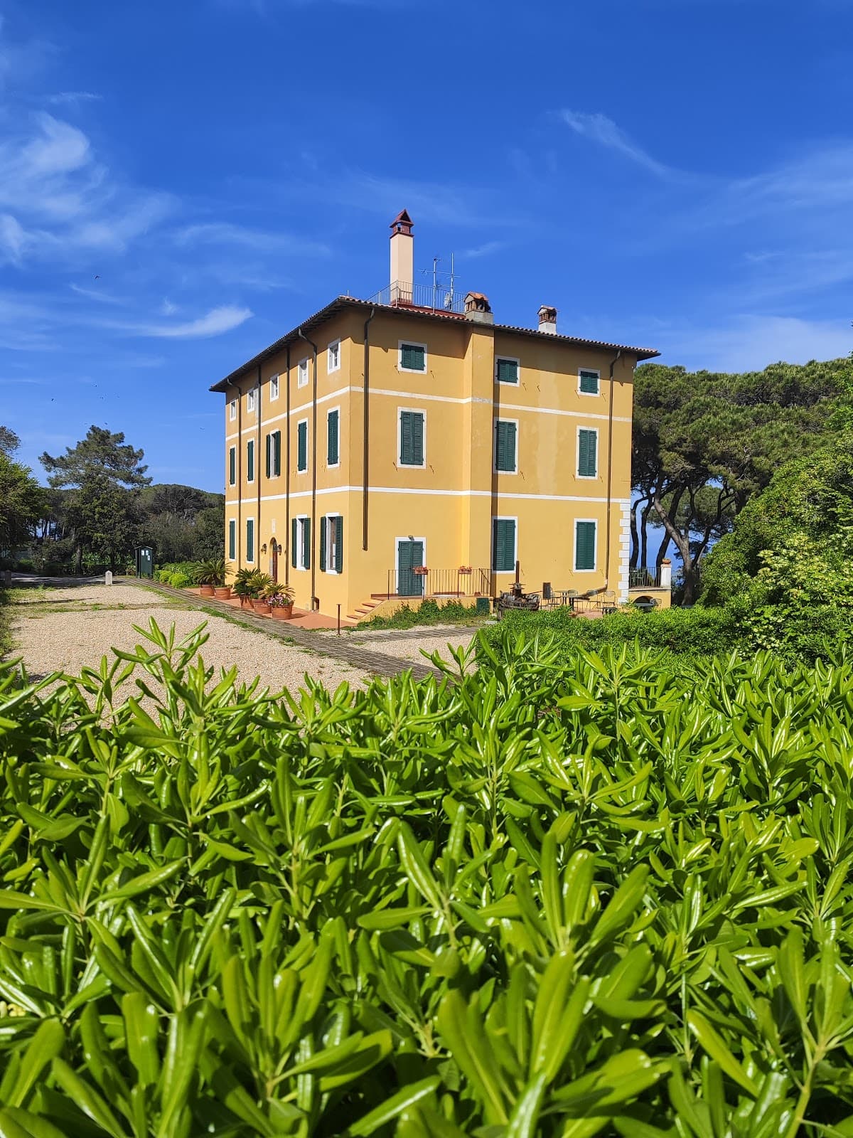 Tenuta delle Ripalte - Image 1