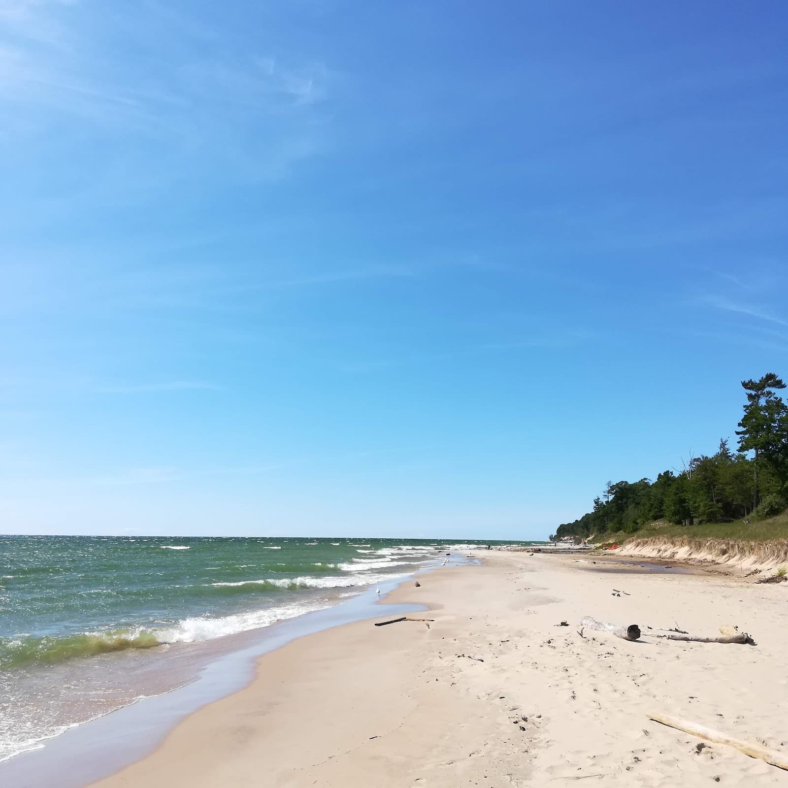 Pioneer County Park - Image 1