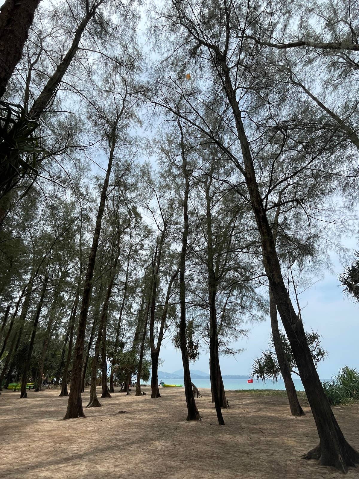 Vertical photo