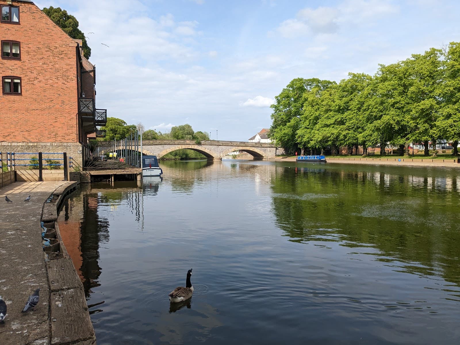 Workman Bridge - Image 1