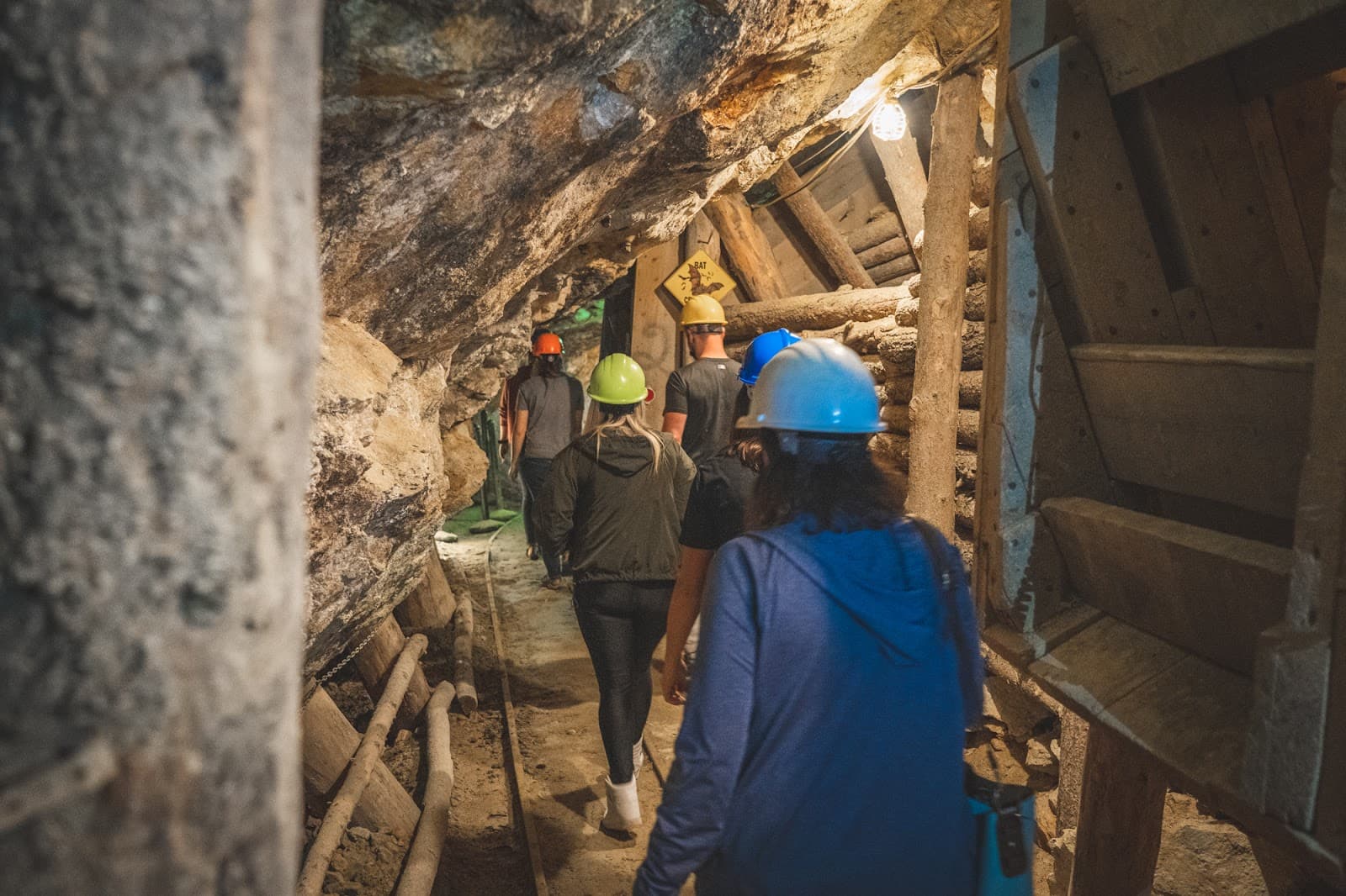 Phoenix Gold Mine - Image 1