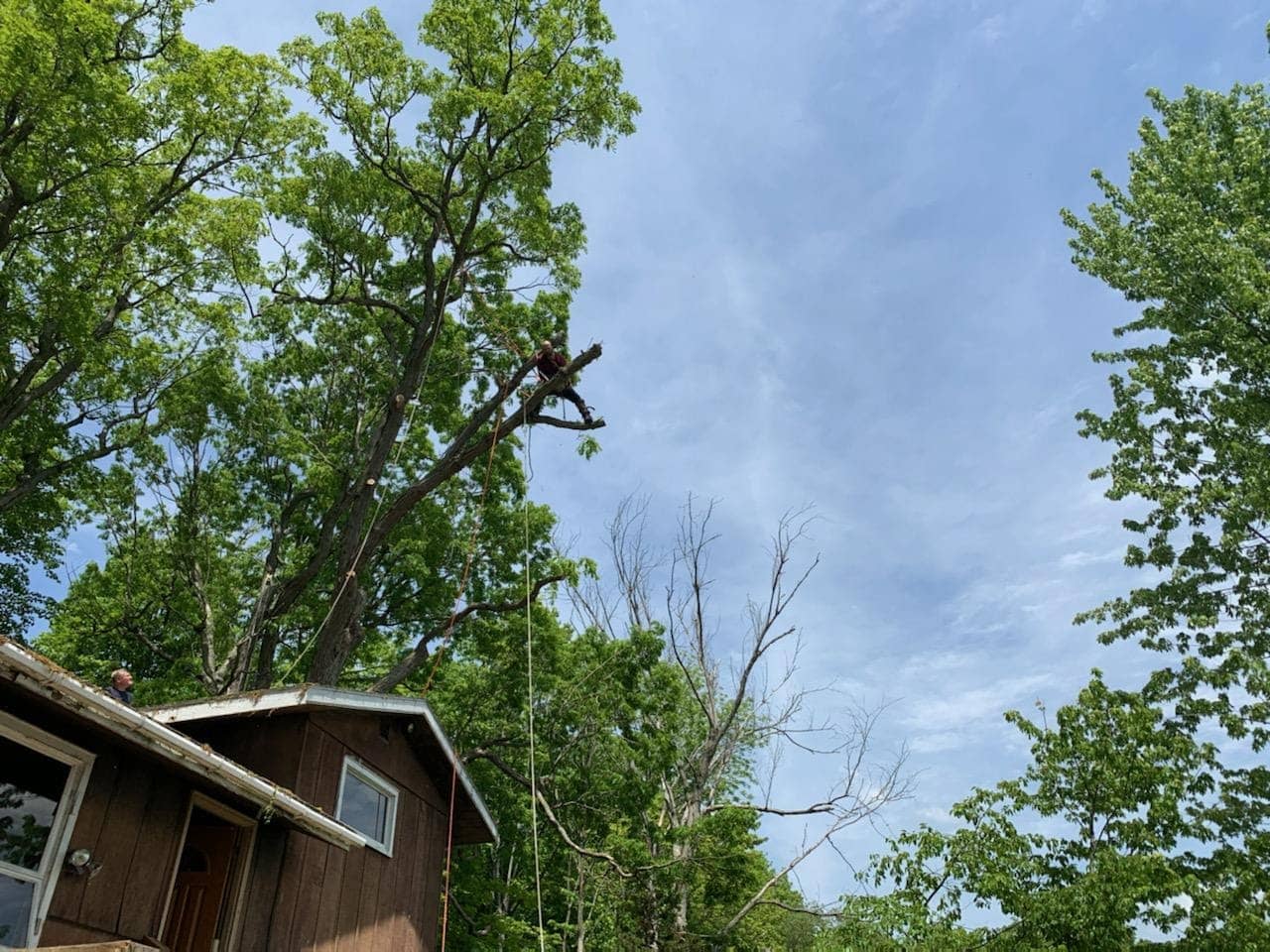 Vertical photo