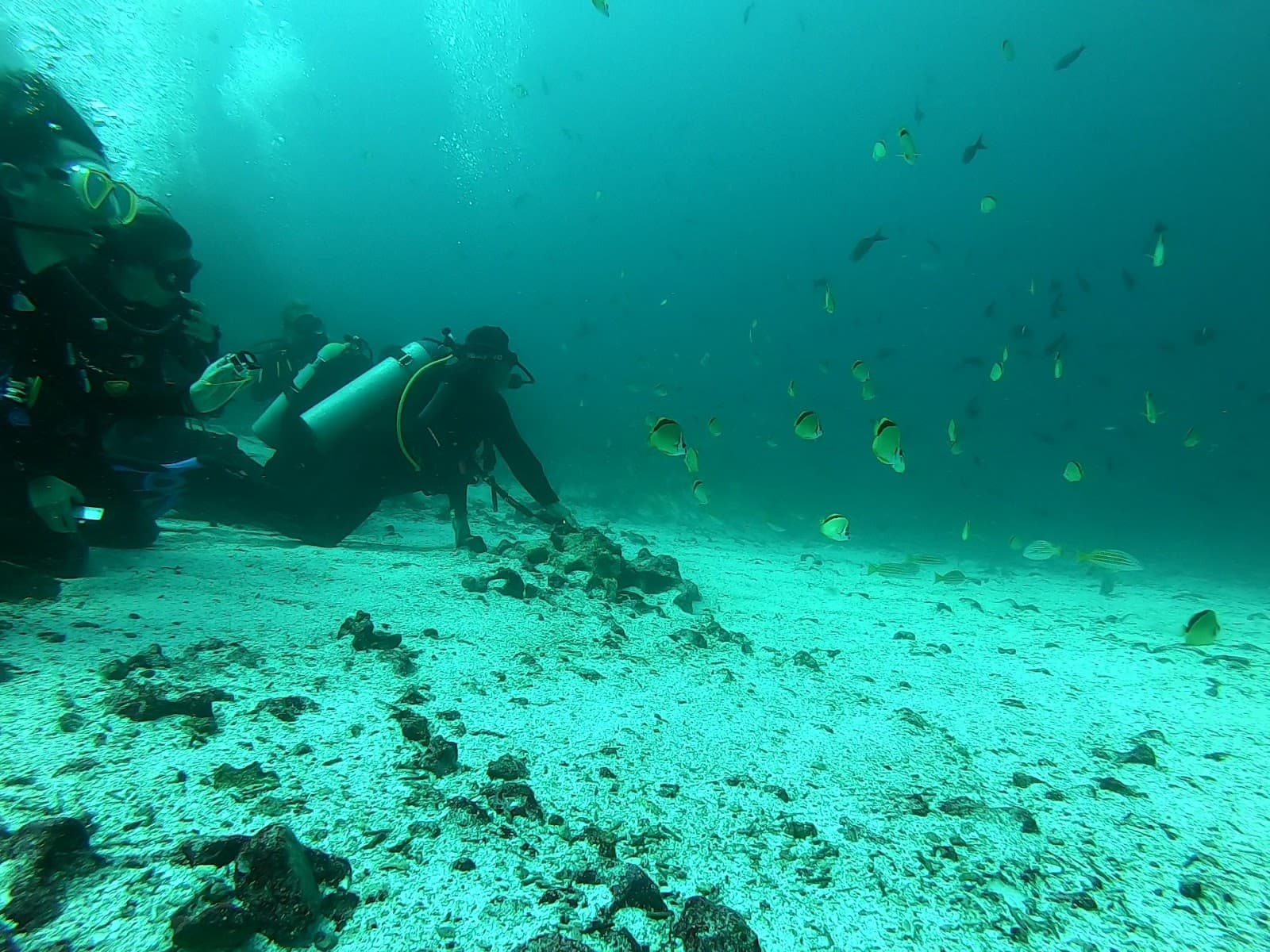 Gordon Rocks - Image 1