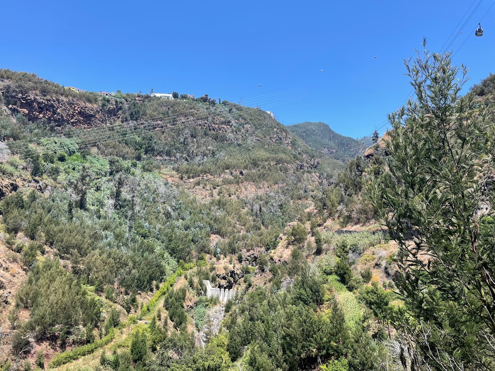 Levada do Bom Sucesso - Image 1