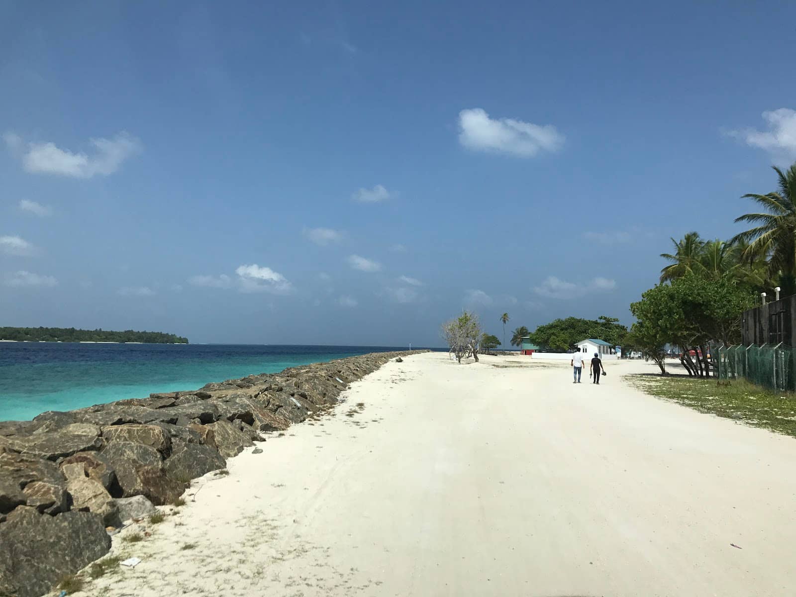 Local Island Charm
