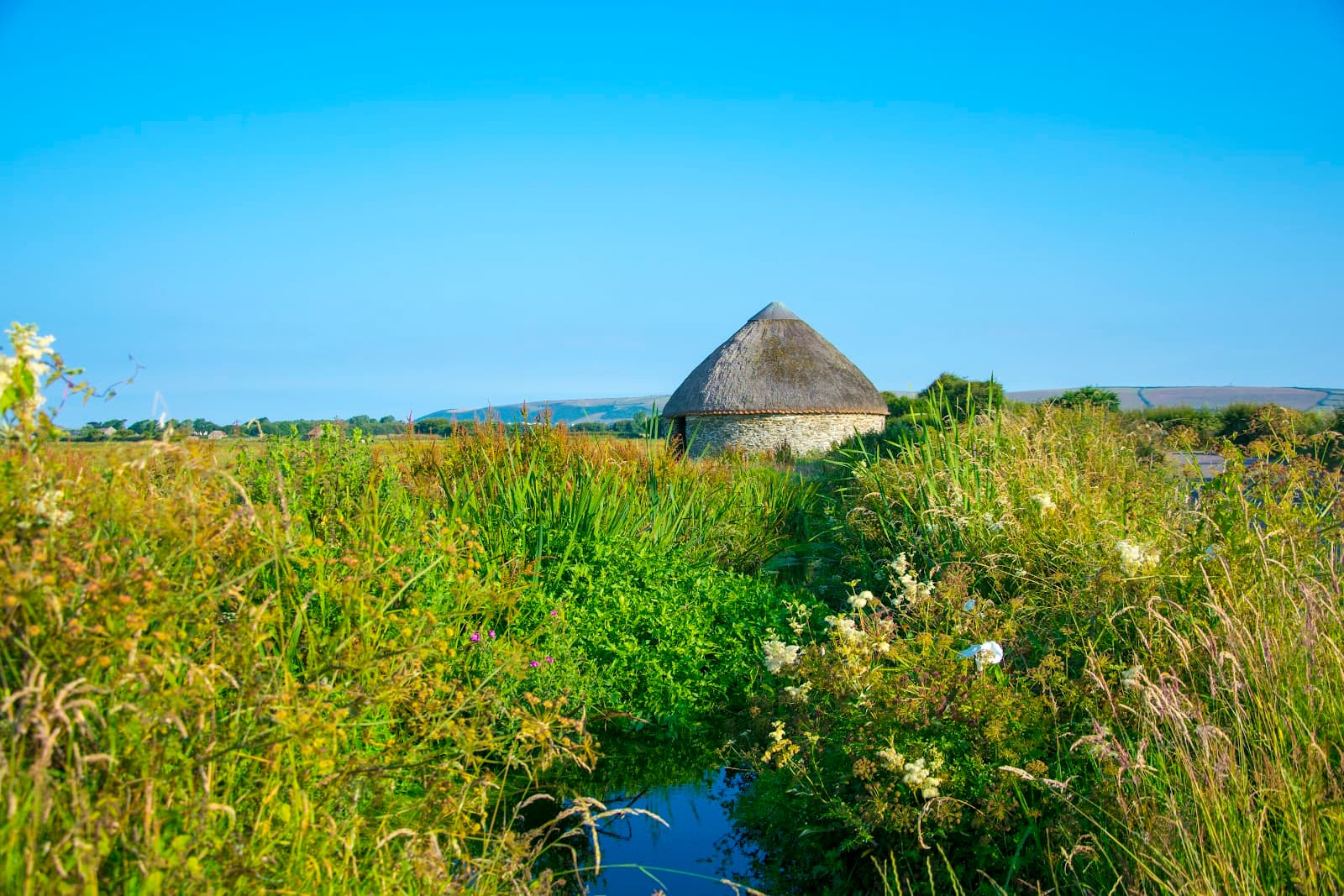 Braunton Marsh & Great Sluice - Image 1