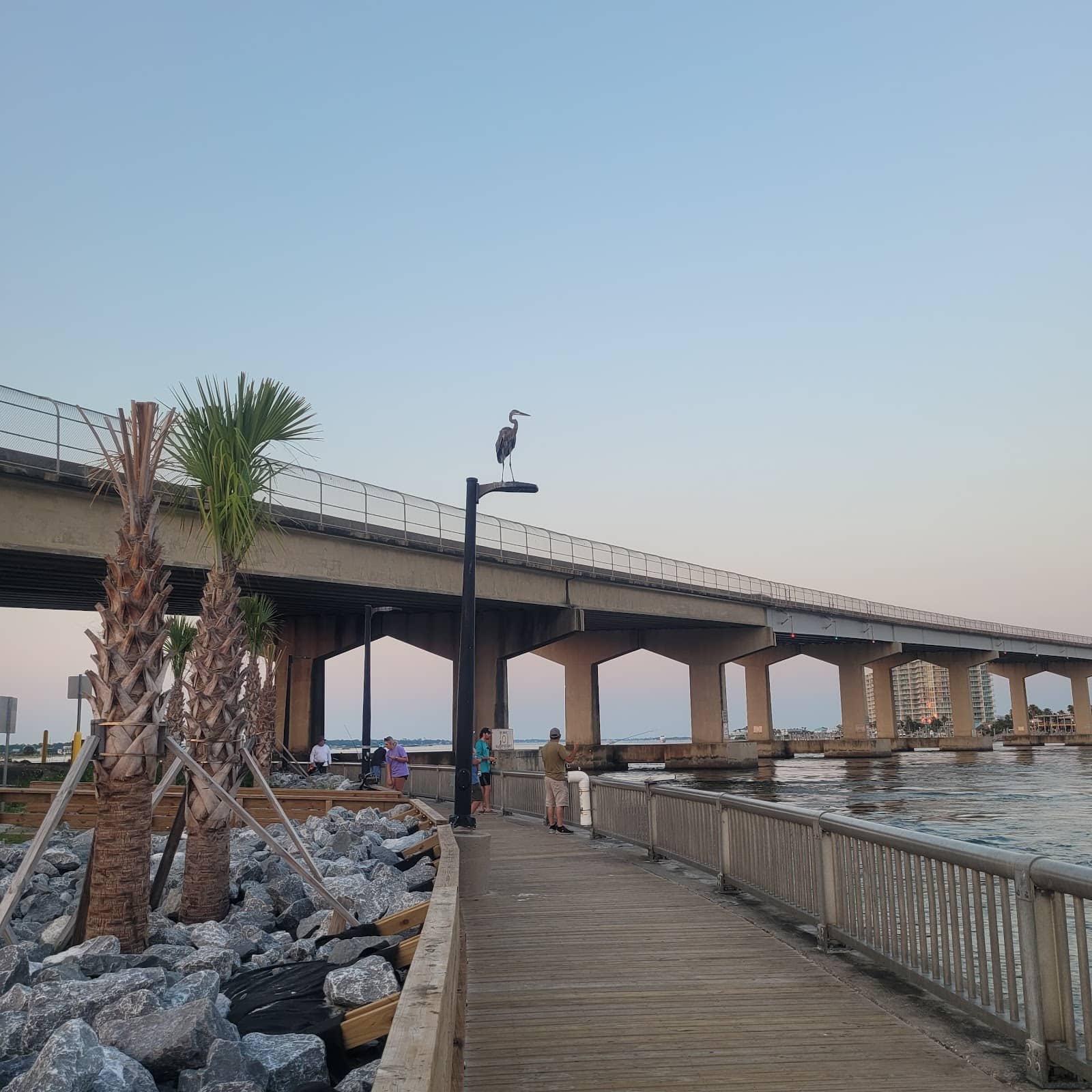Vertical photo