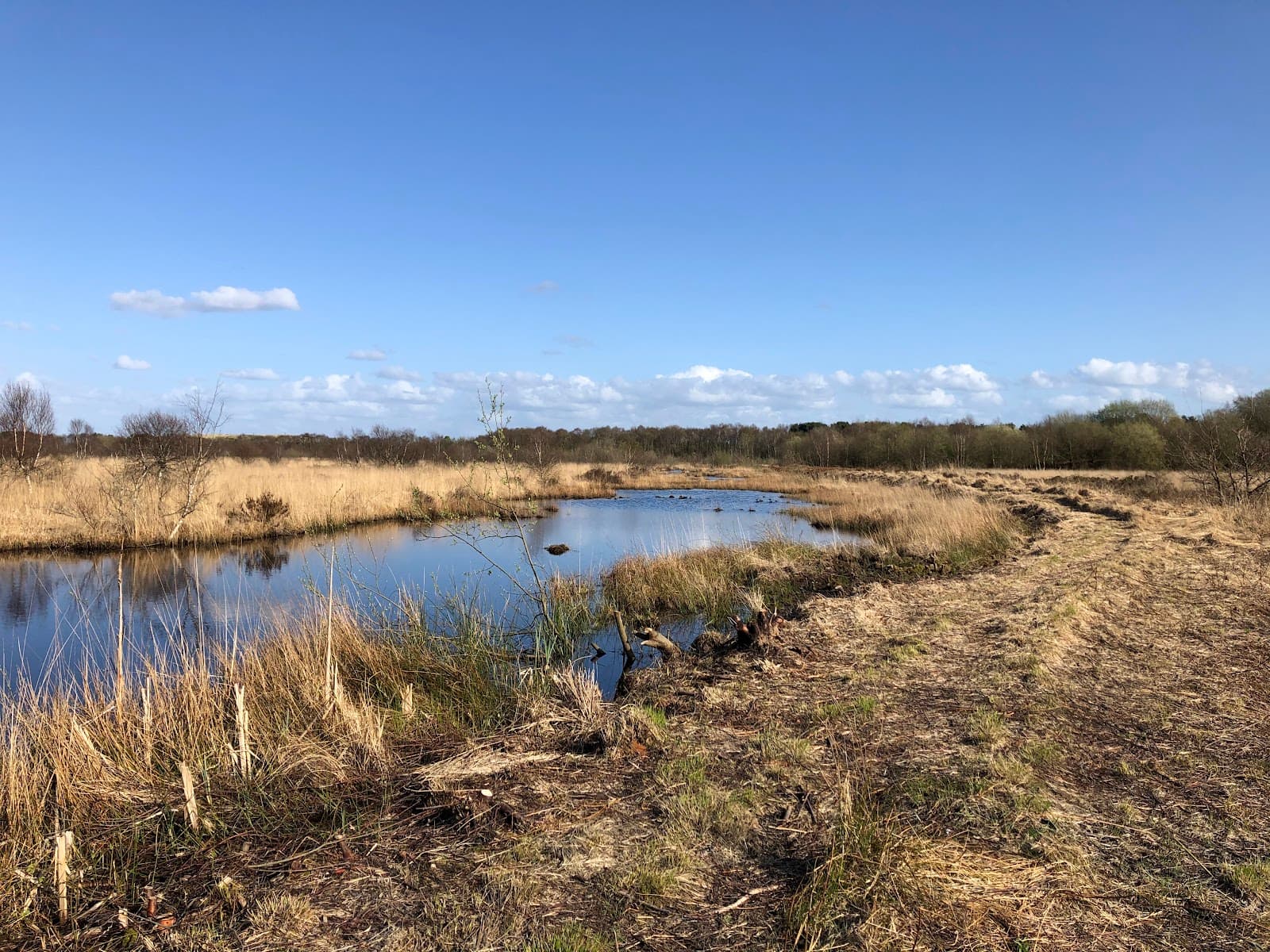 Risley Moss Nature Reserve Warrington - Image 1