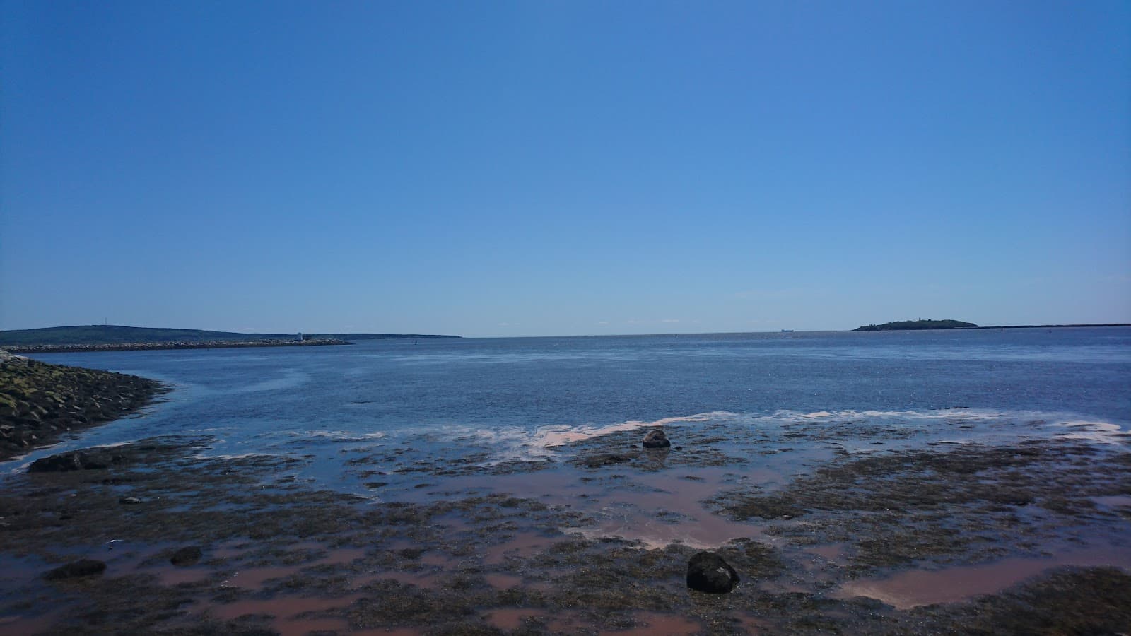 Tin Can Beach - Image 1