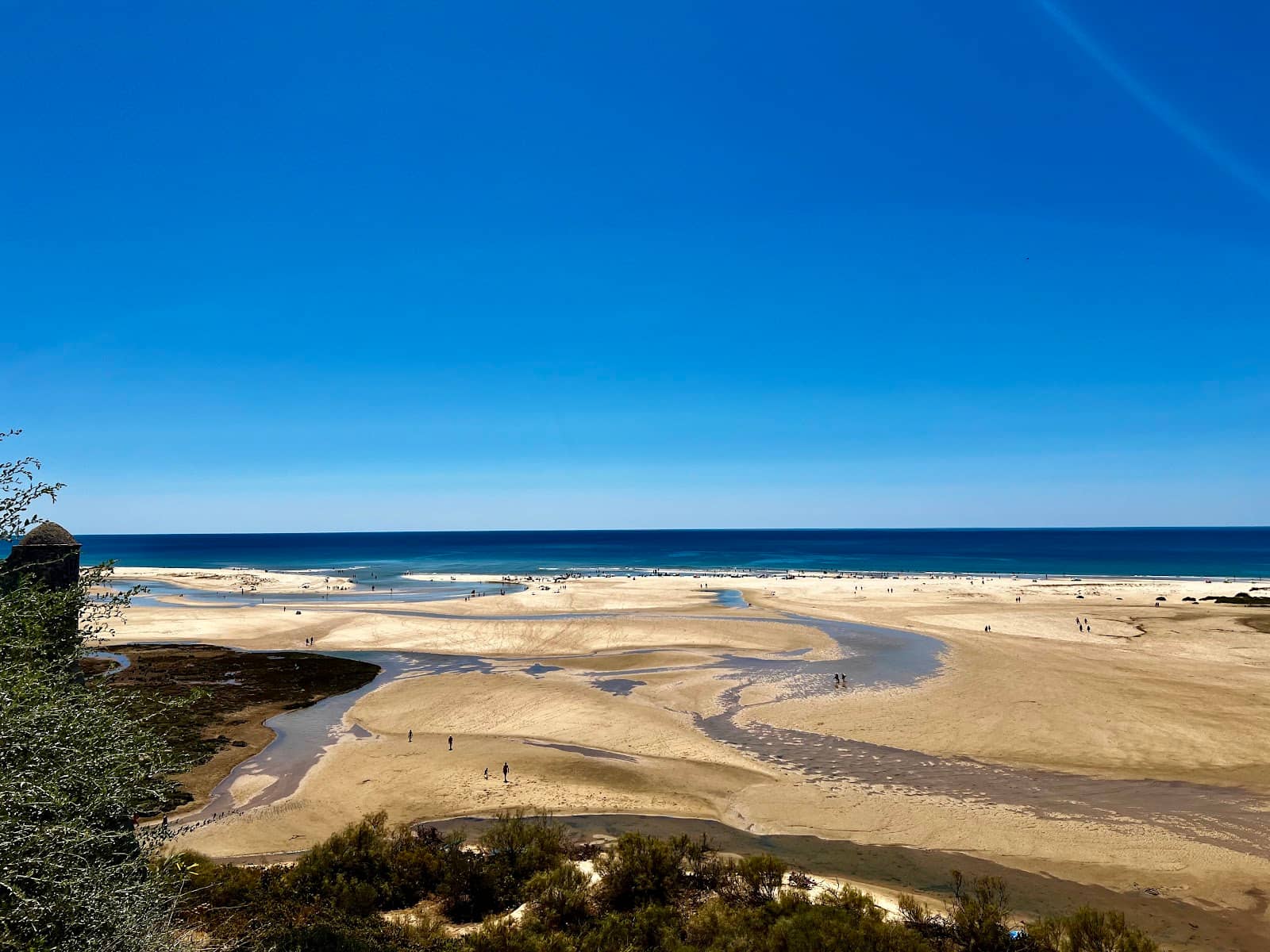 Fresh Oyster Delights