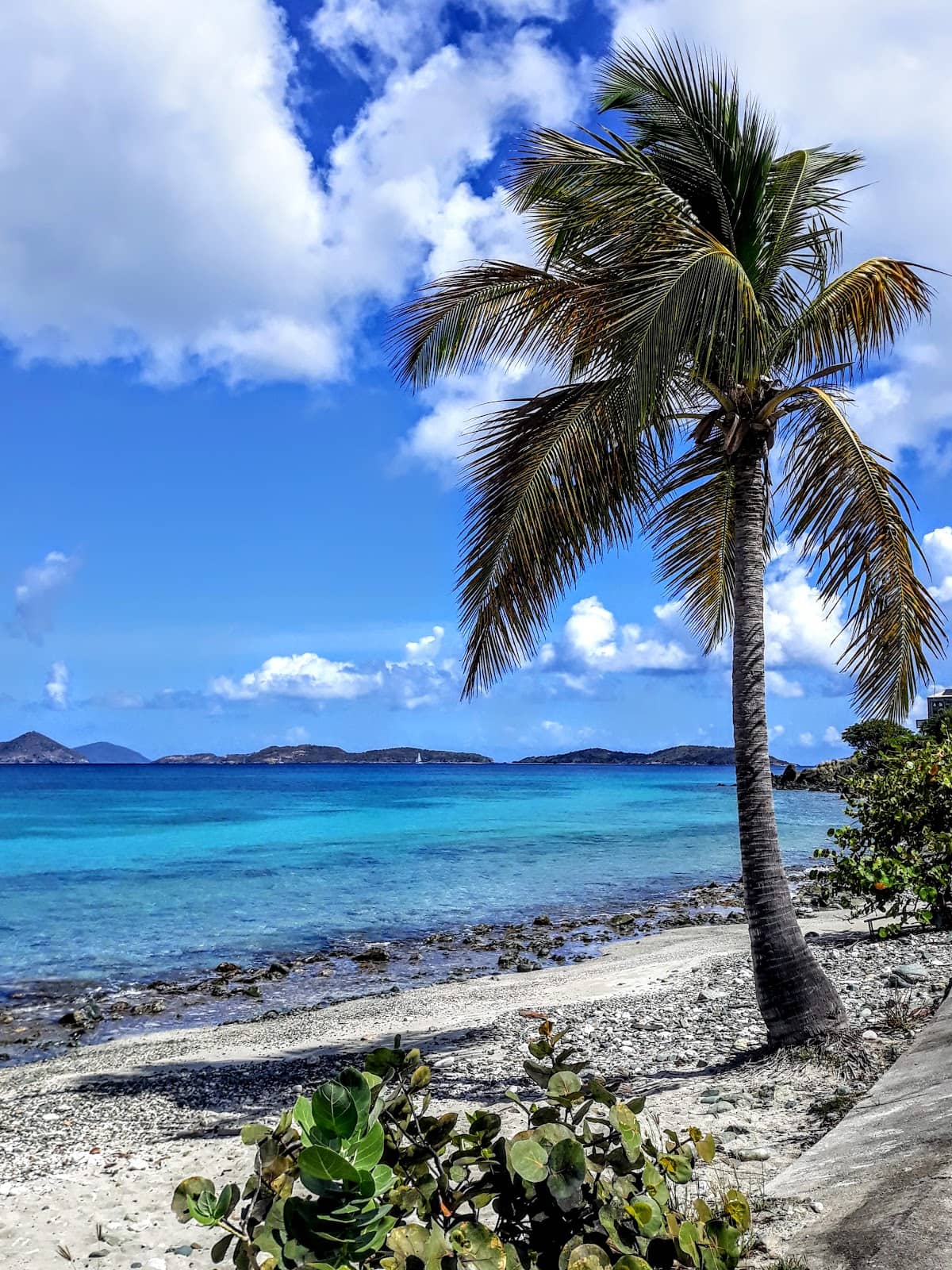 Peaceful Beach Vibe