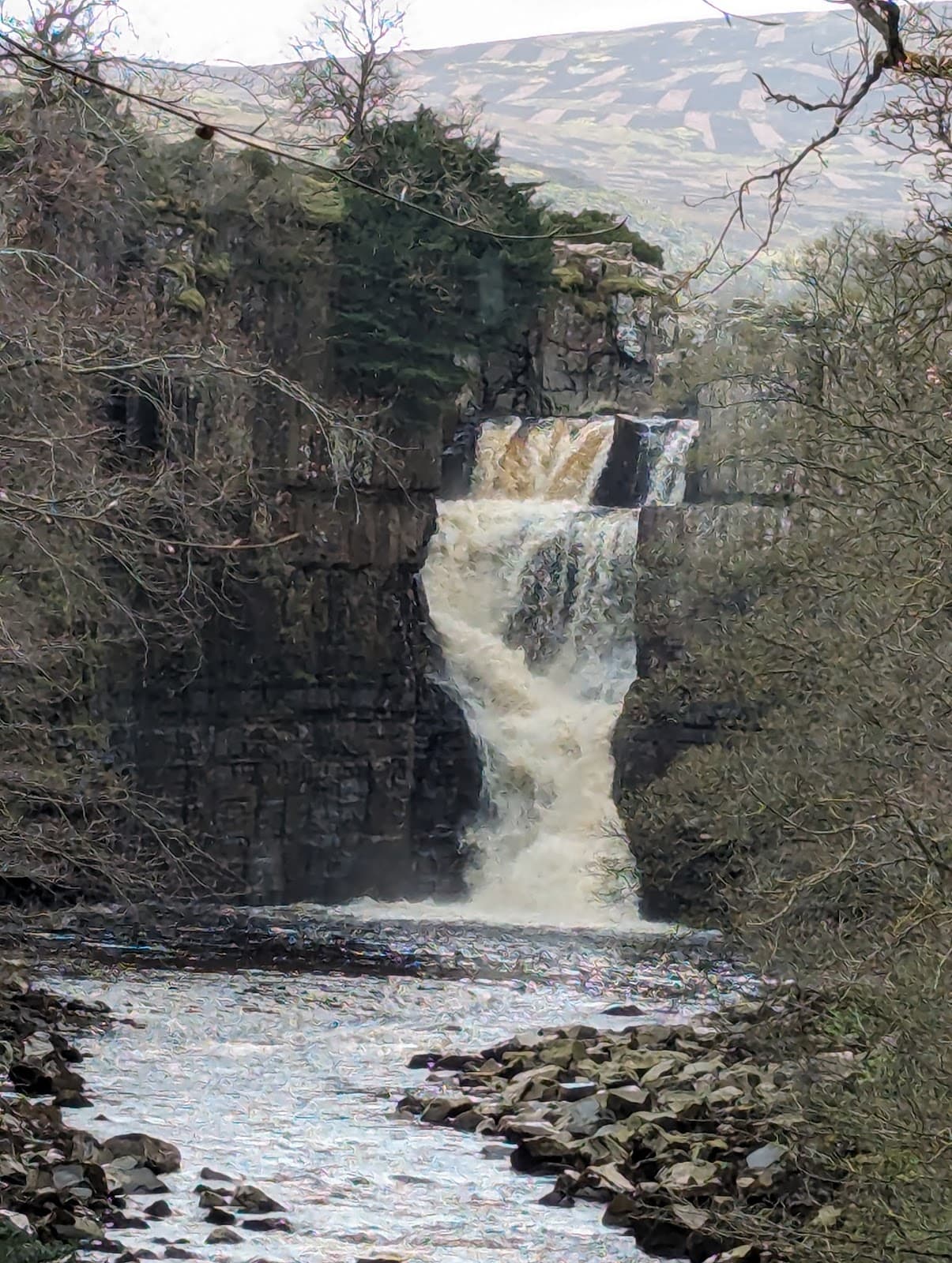 Houghall Woodland and Nature Trail - Image 1