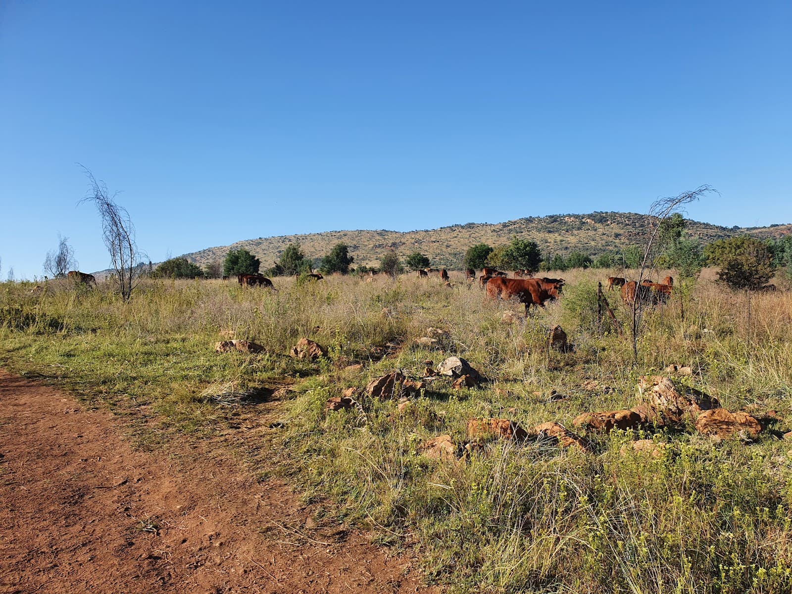 Kings Kloof Trails - Image 1