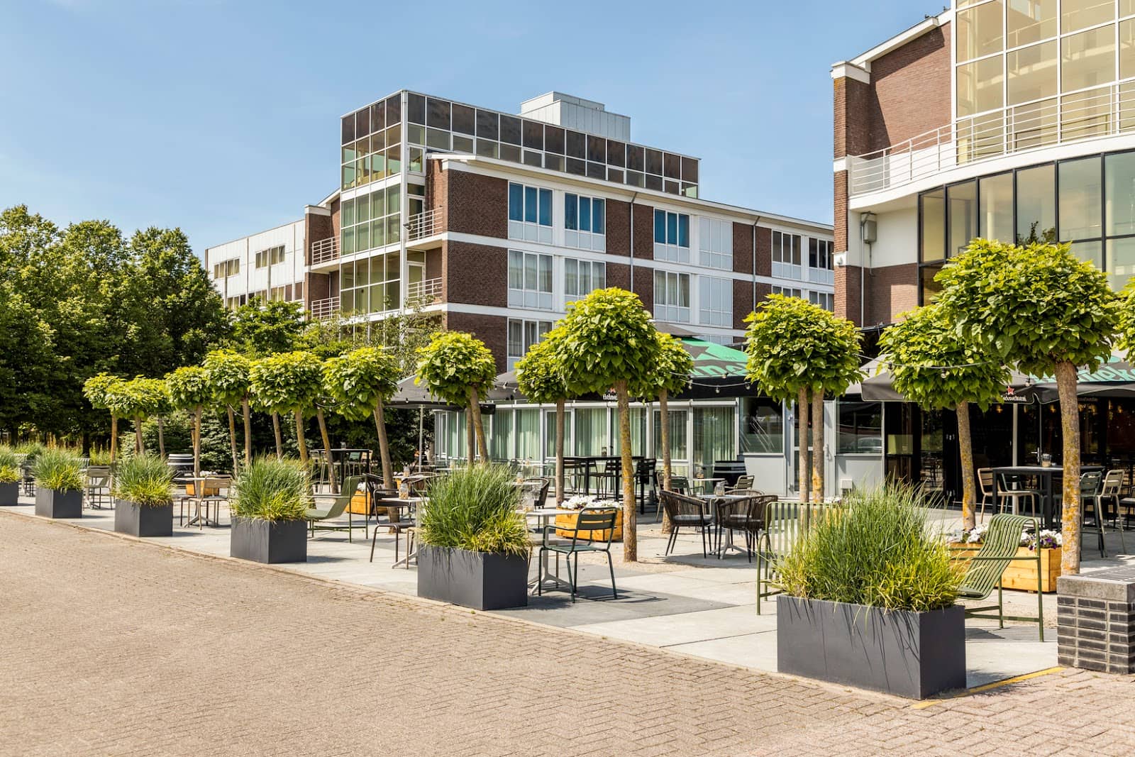 Peaceful Environment