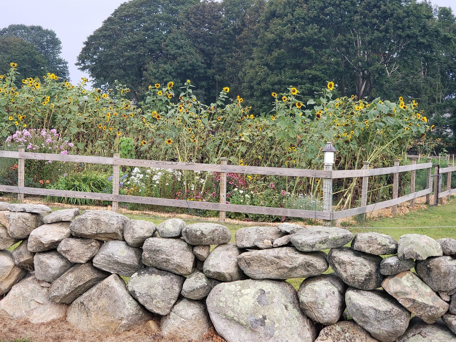 Avondale Farm Preserve - Image 1