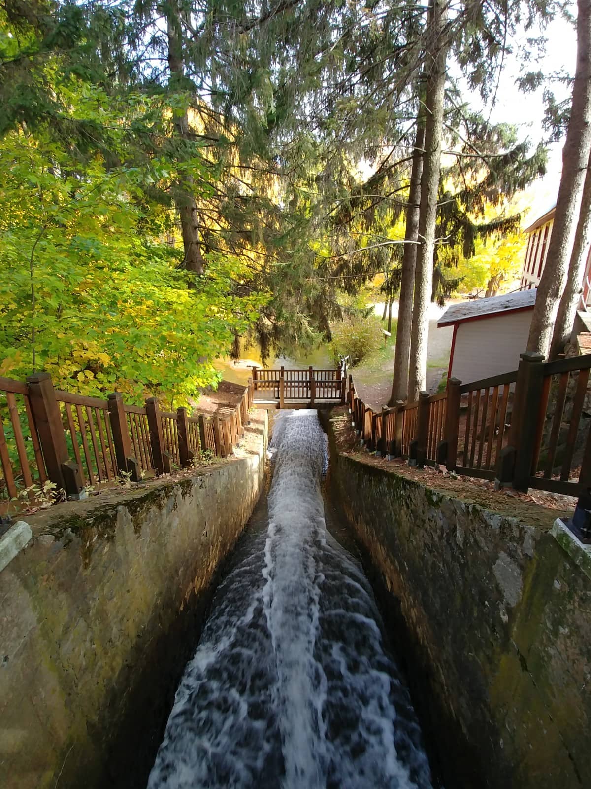 Vertical photo