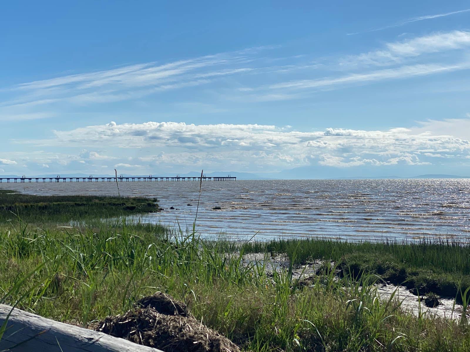 Sea Island Golf Courses