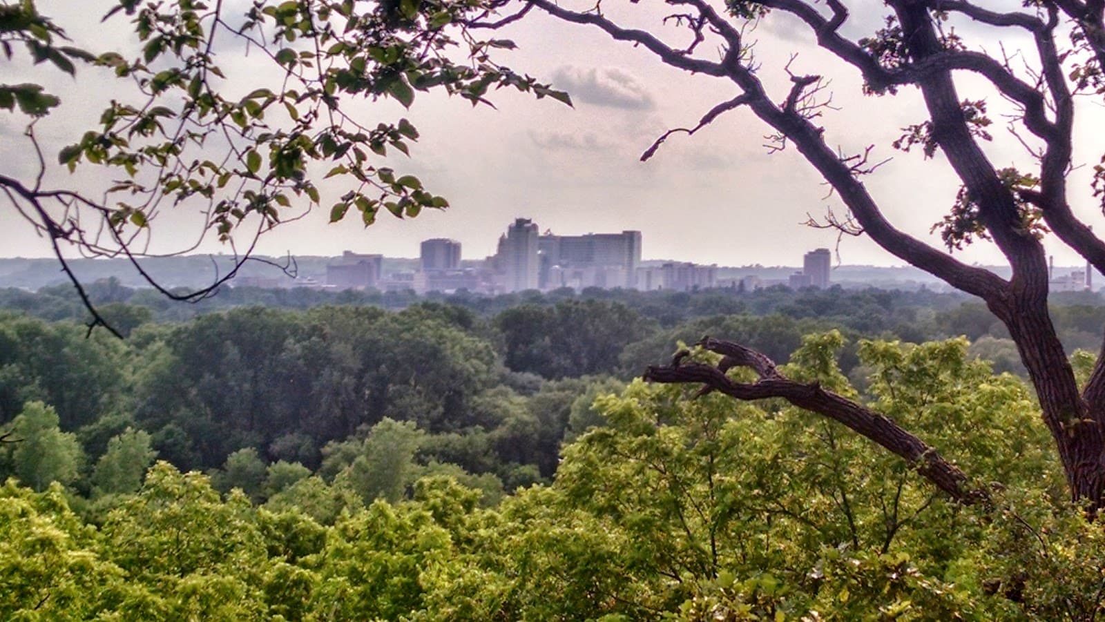 Quarry Hill Park - Image 1