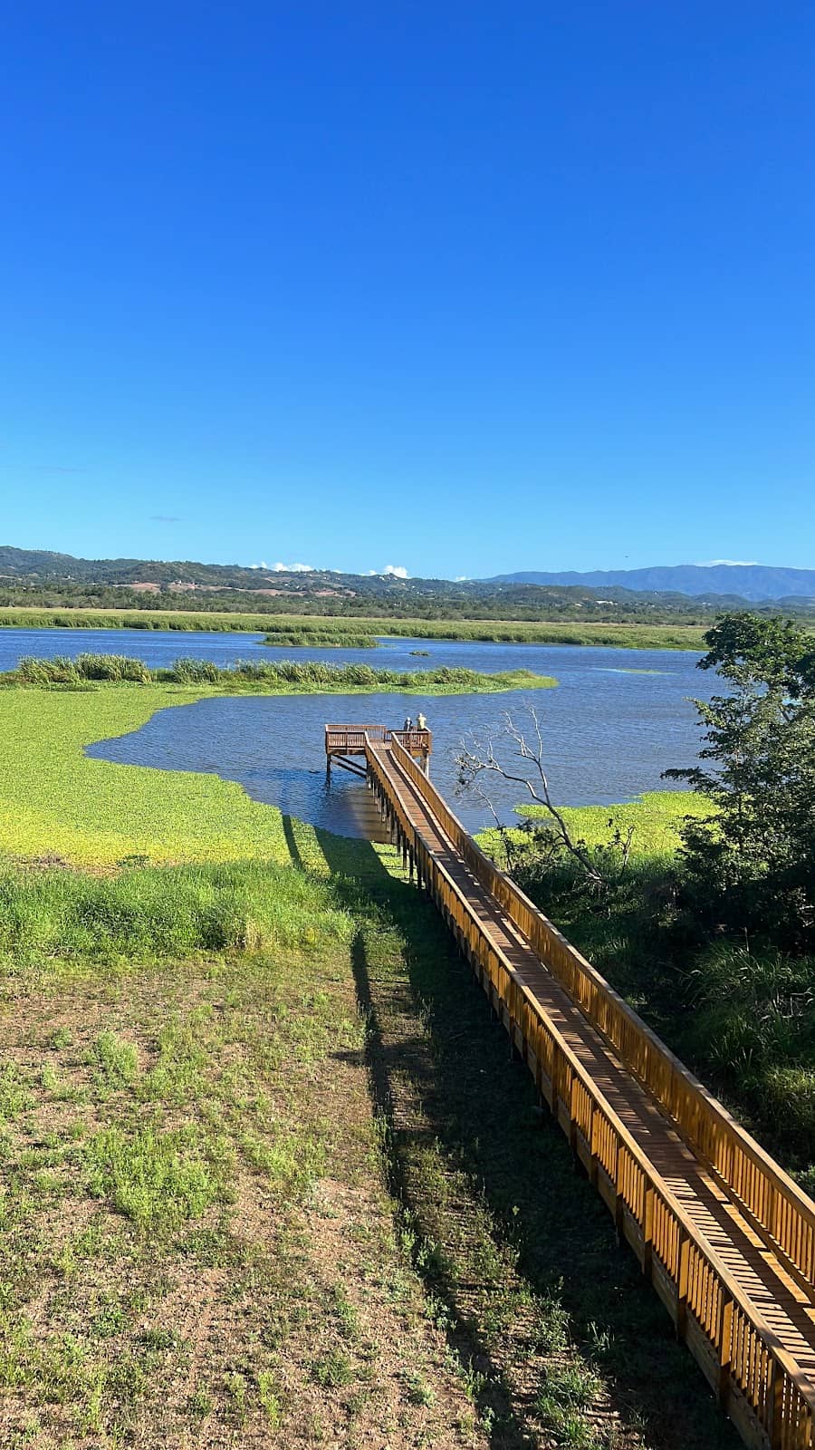 Newly Constructed Observation Tower