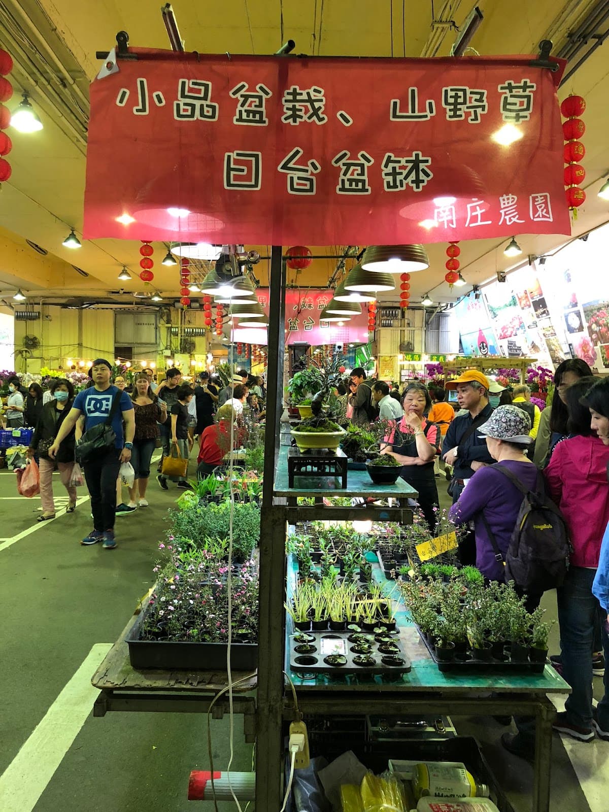 Jianguo Holiday Flower Market - Image 1
