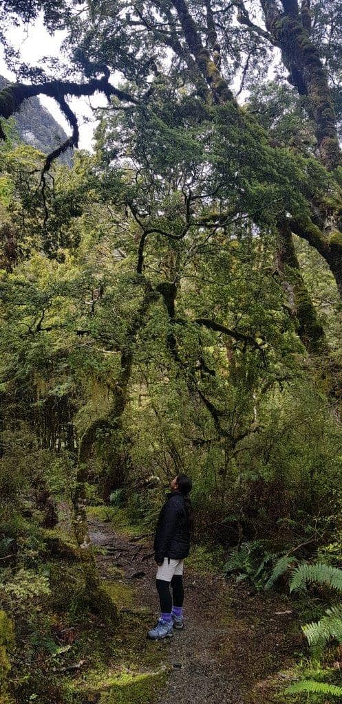 Vertical photo