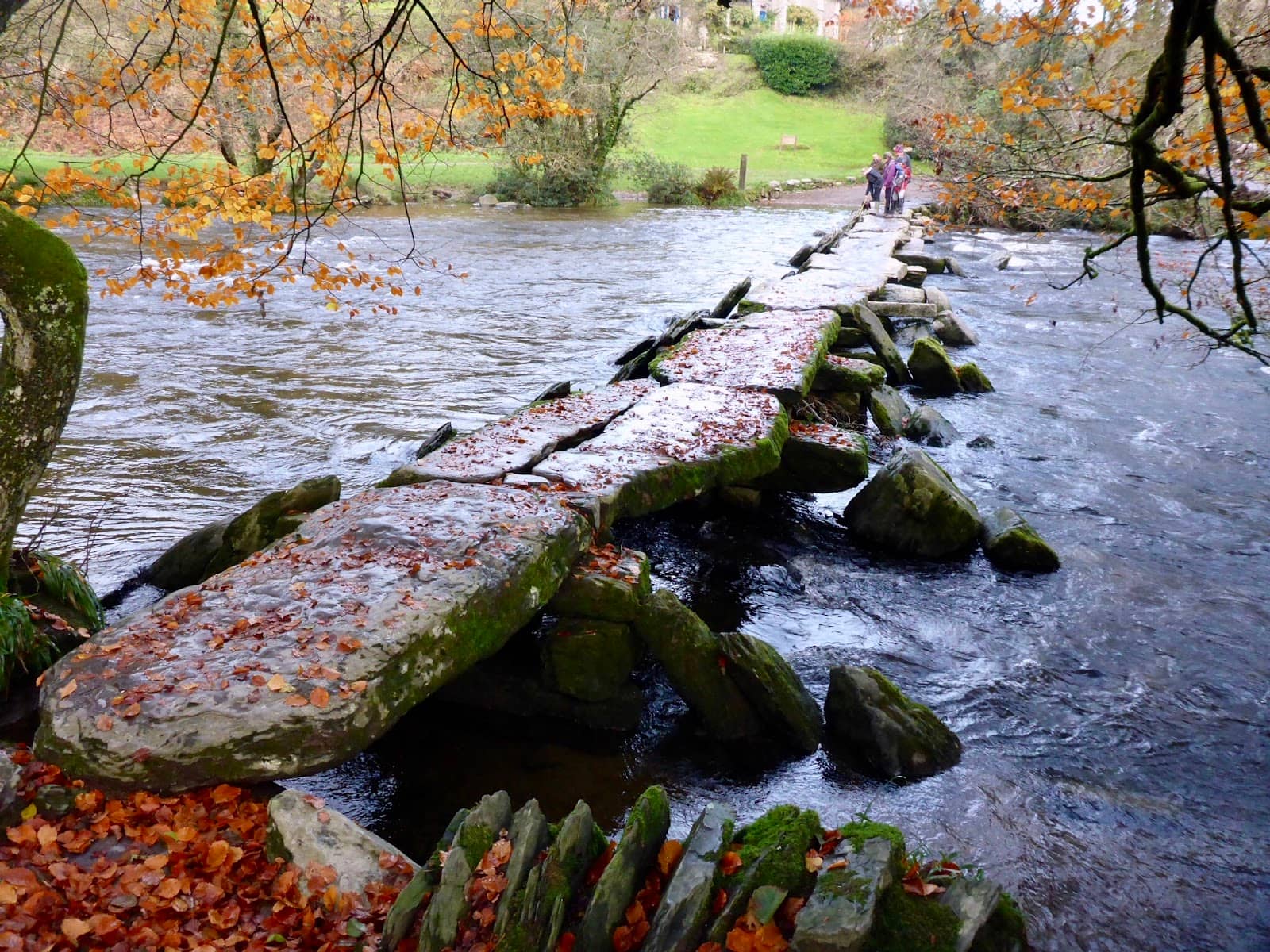 River Barle Exploration