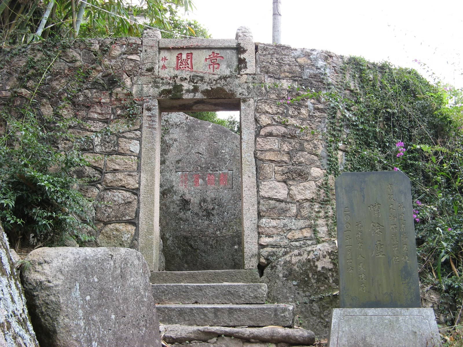 Vertical photo