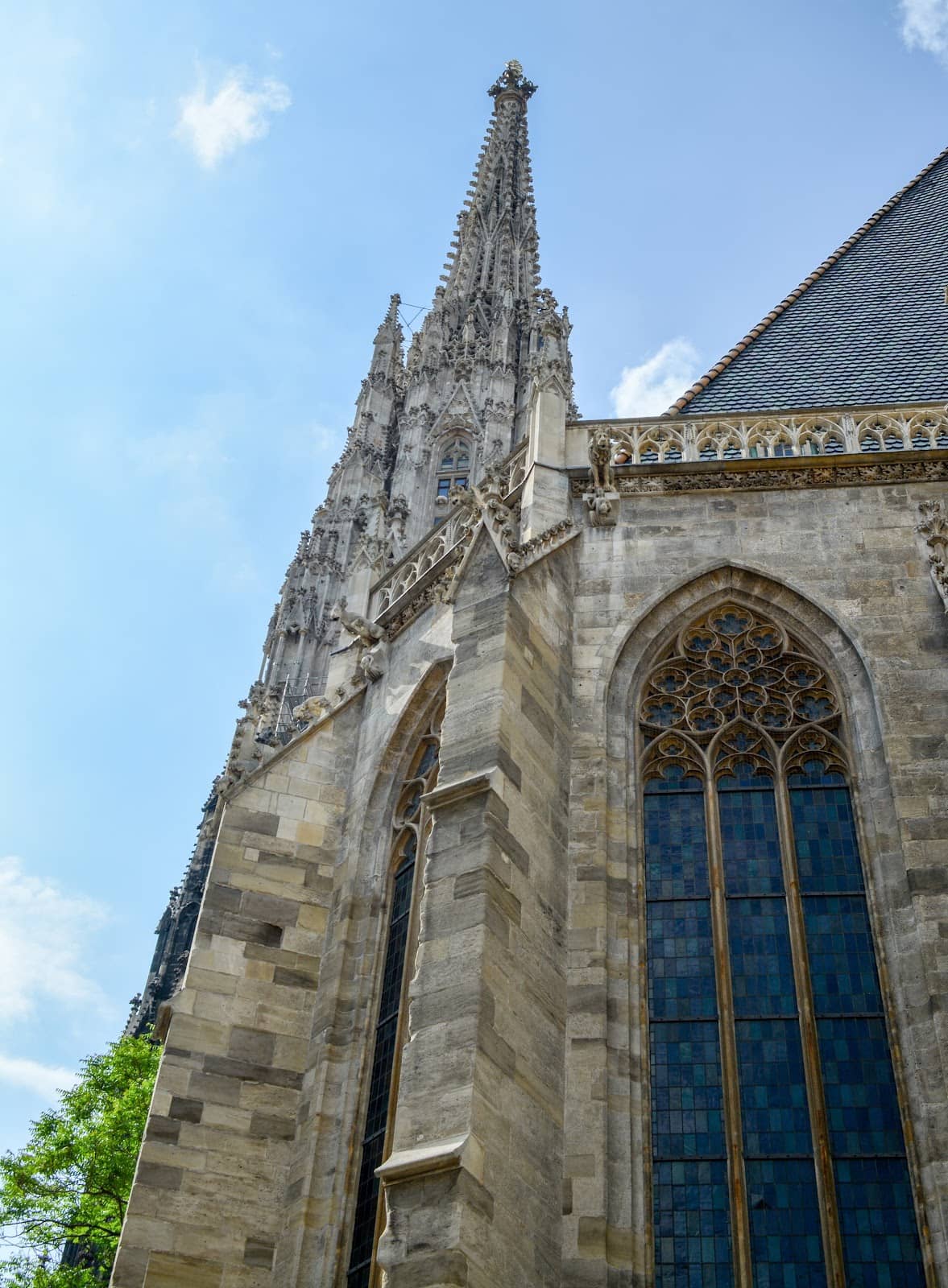 Vertical photo