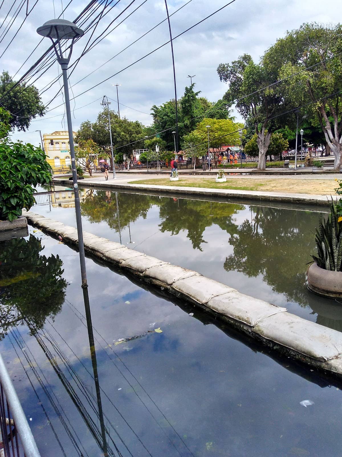Vertical photo