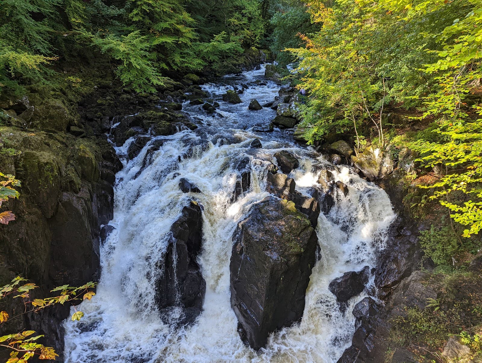 Hermitage Museum - Image 1