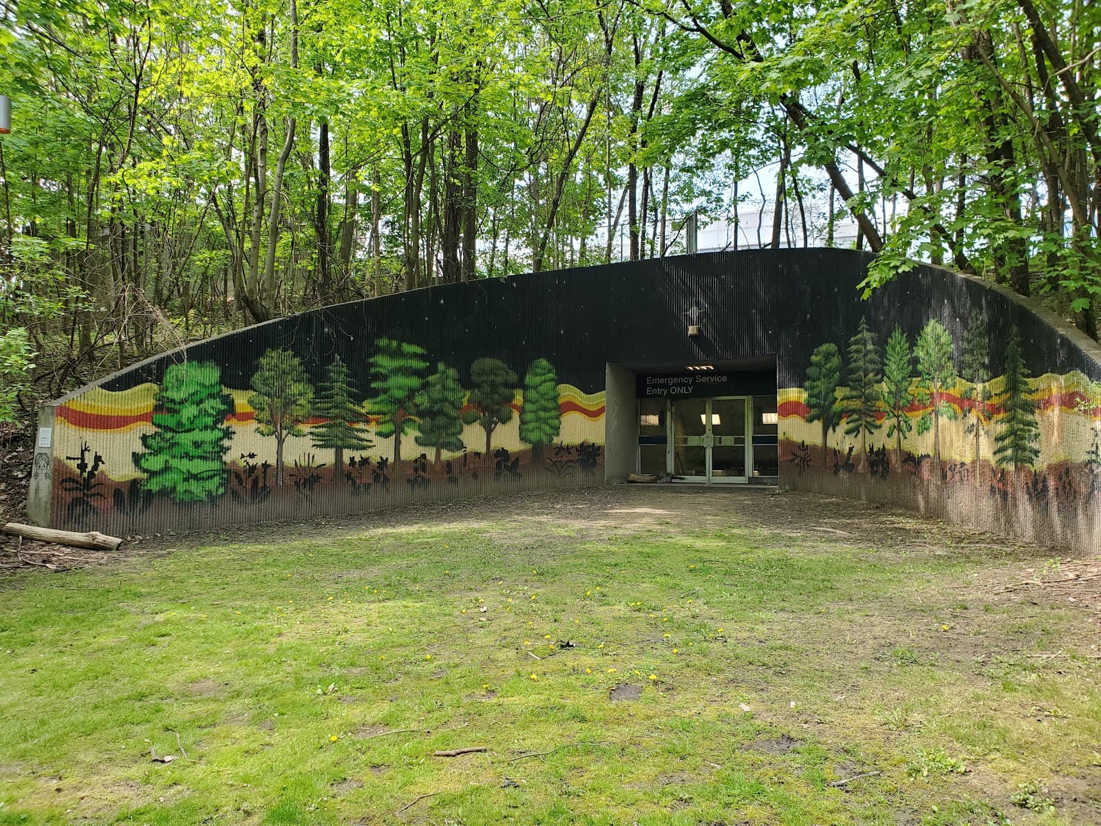 Nordheimer Ravine - Image 1