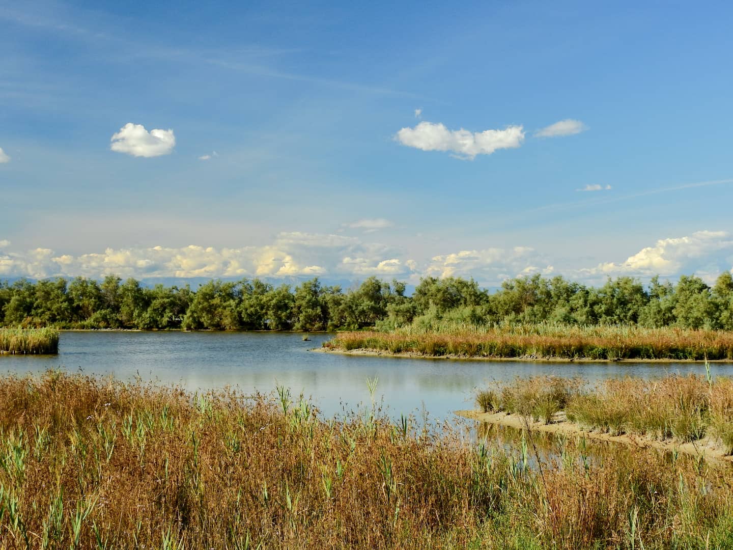 Scenic Walking Trails