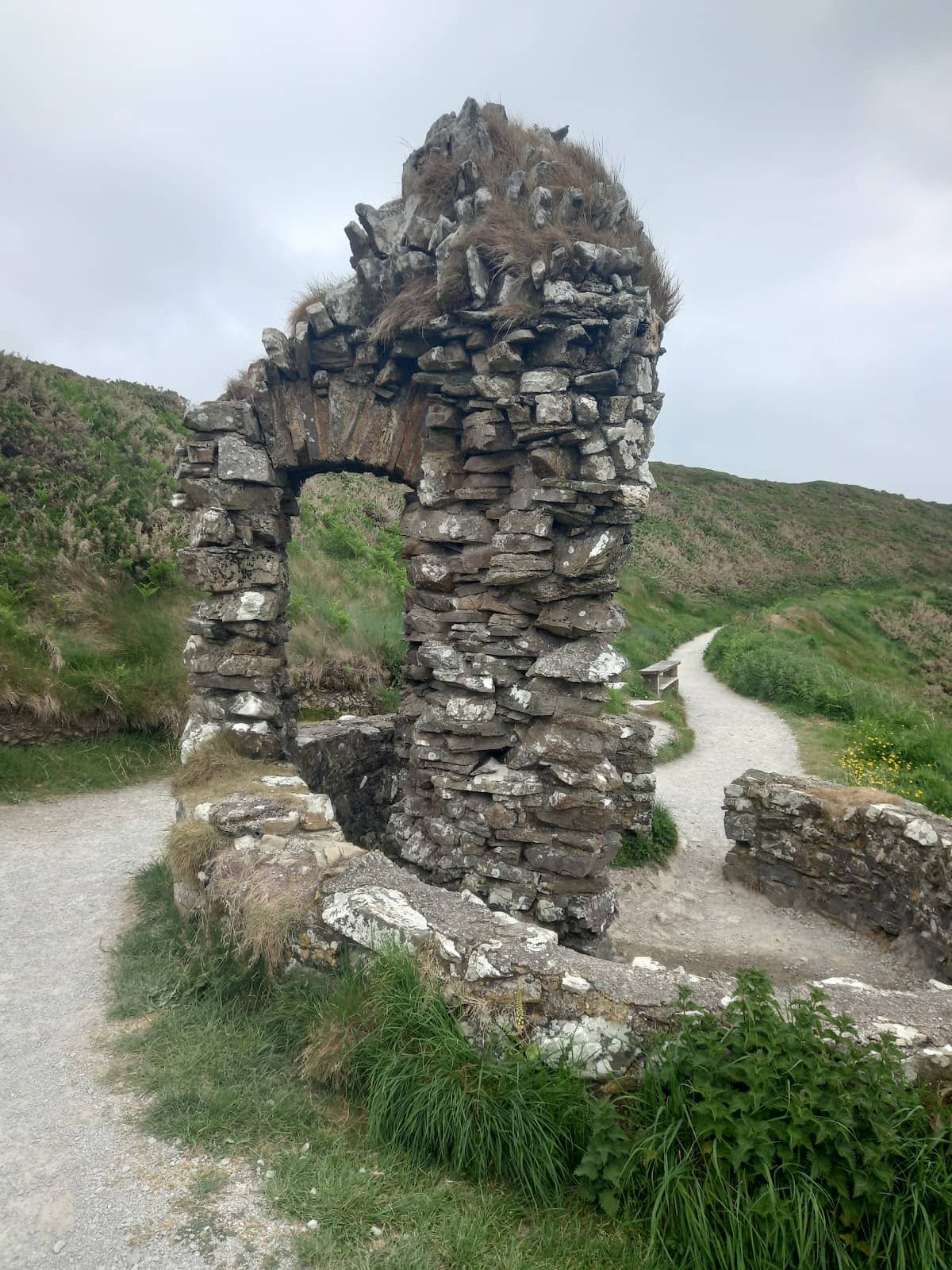 Vertical photo