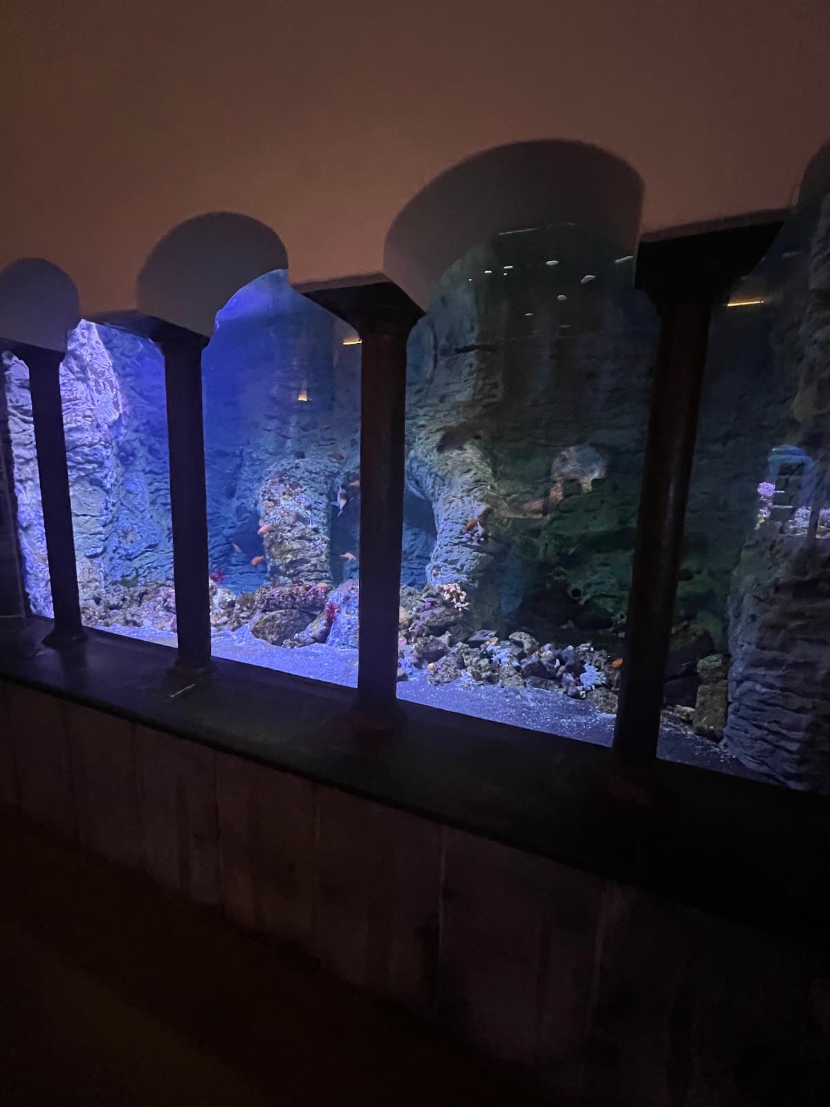 Acquario di Napoli - Image 1